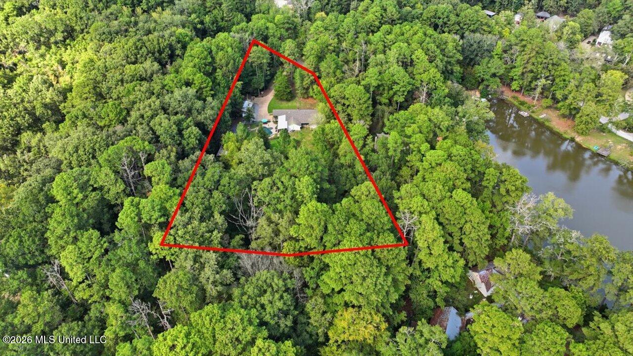 113 Quail Hollow Place Property Photo 4