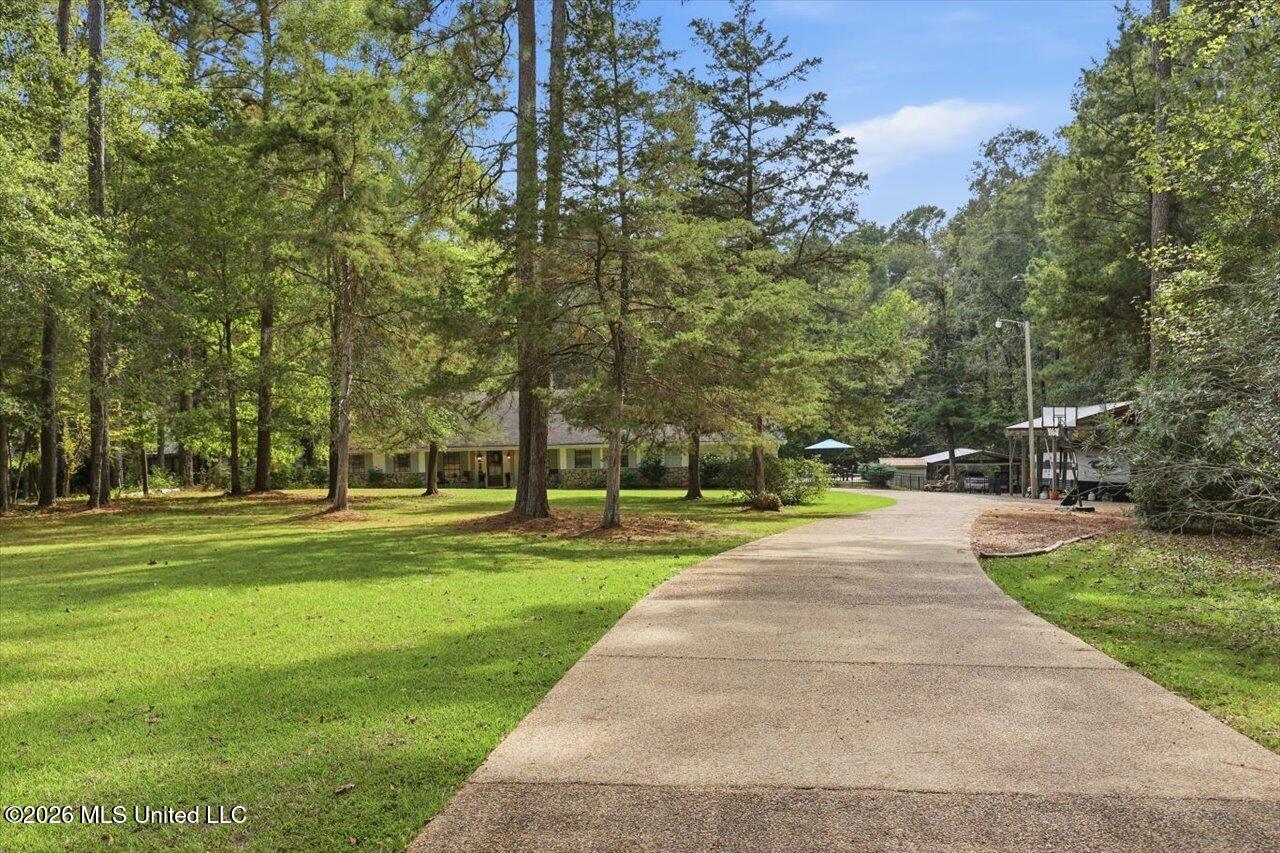 113 Quail Hollow Place Property Photo 67