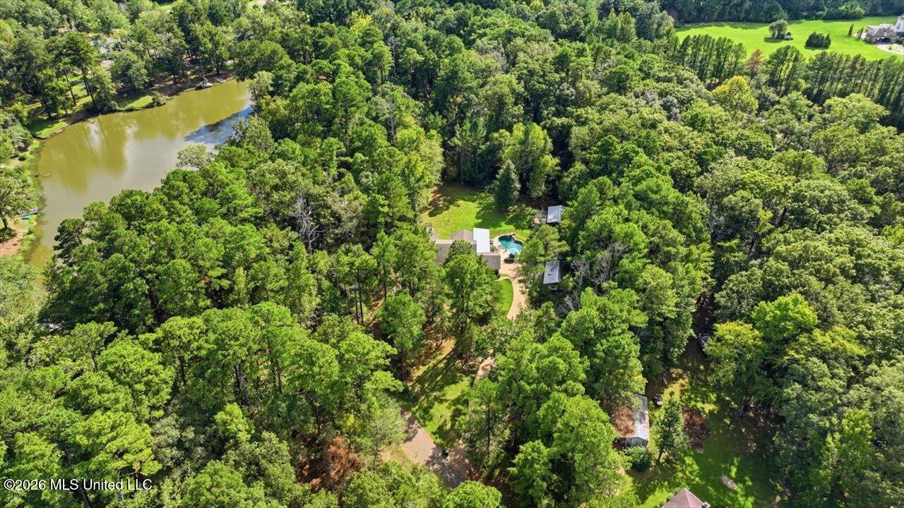 113 Quail Hollow Place Property Photo 79