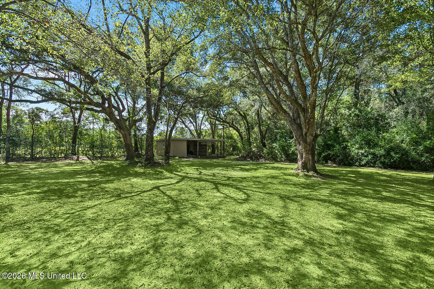 58 King Road Property Photo 10