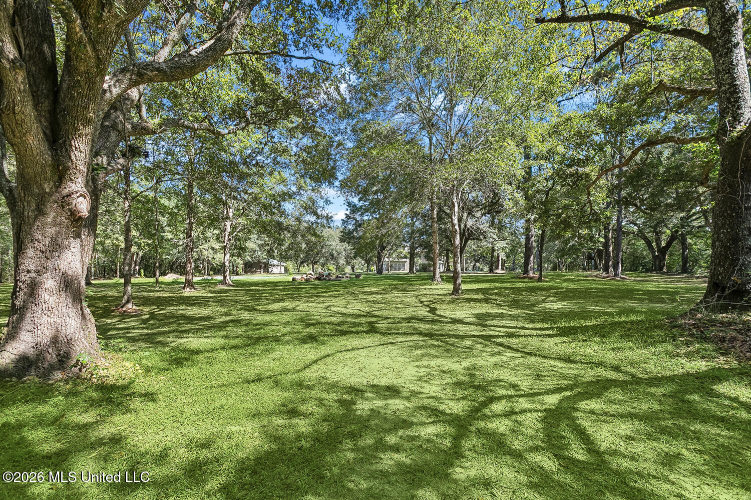 58 King Road Property Photo 24