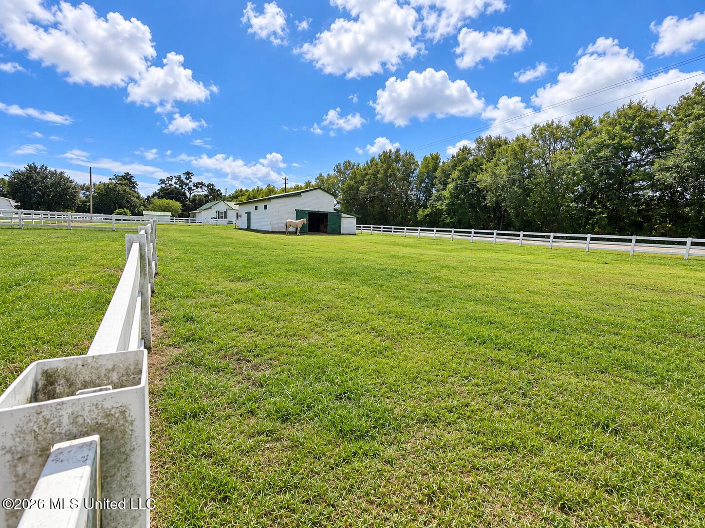 11450 County Farm Road Property Photo 67