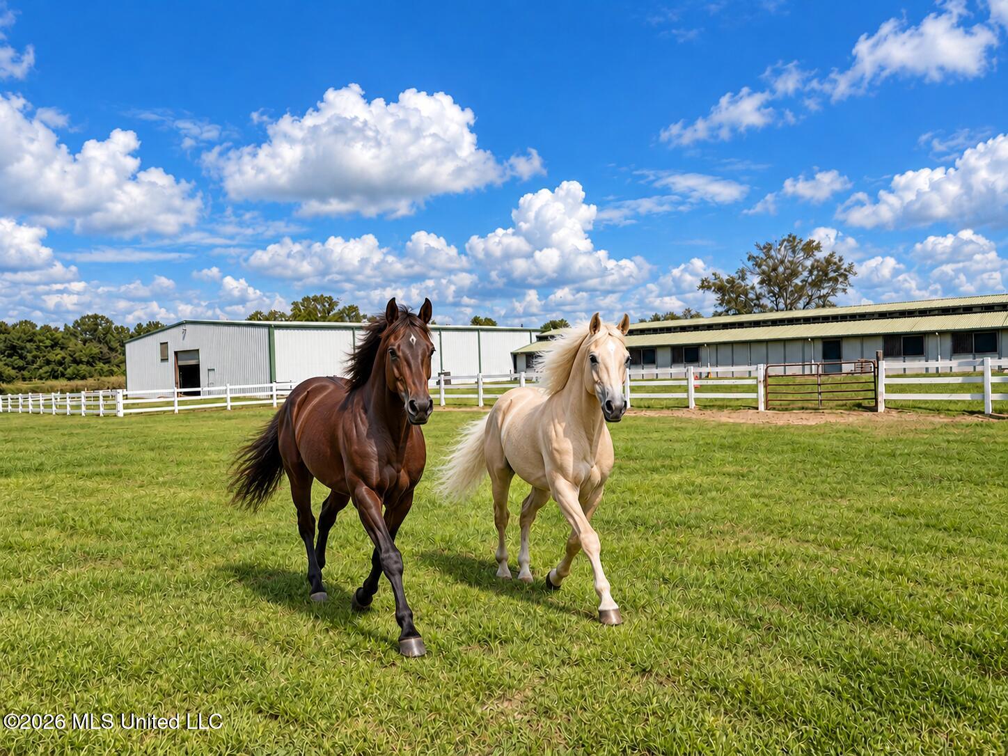 11450 County Farm Road Property Photo 72