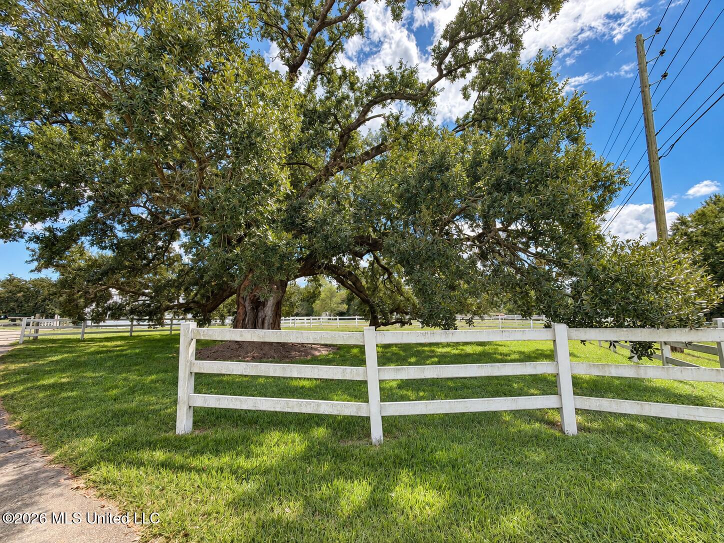 11450 County Farm Road Property Photo 78
