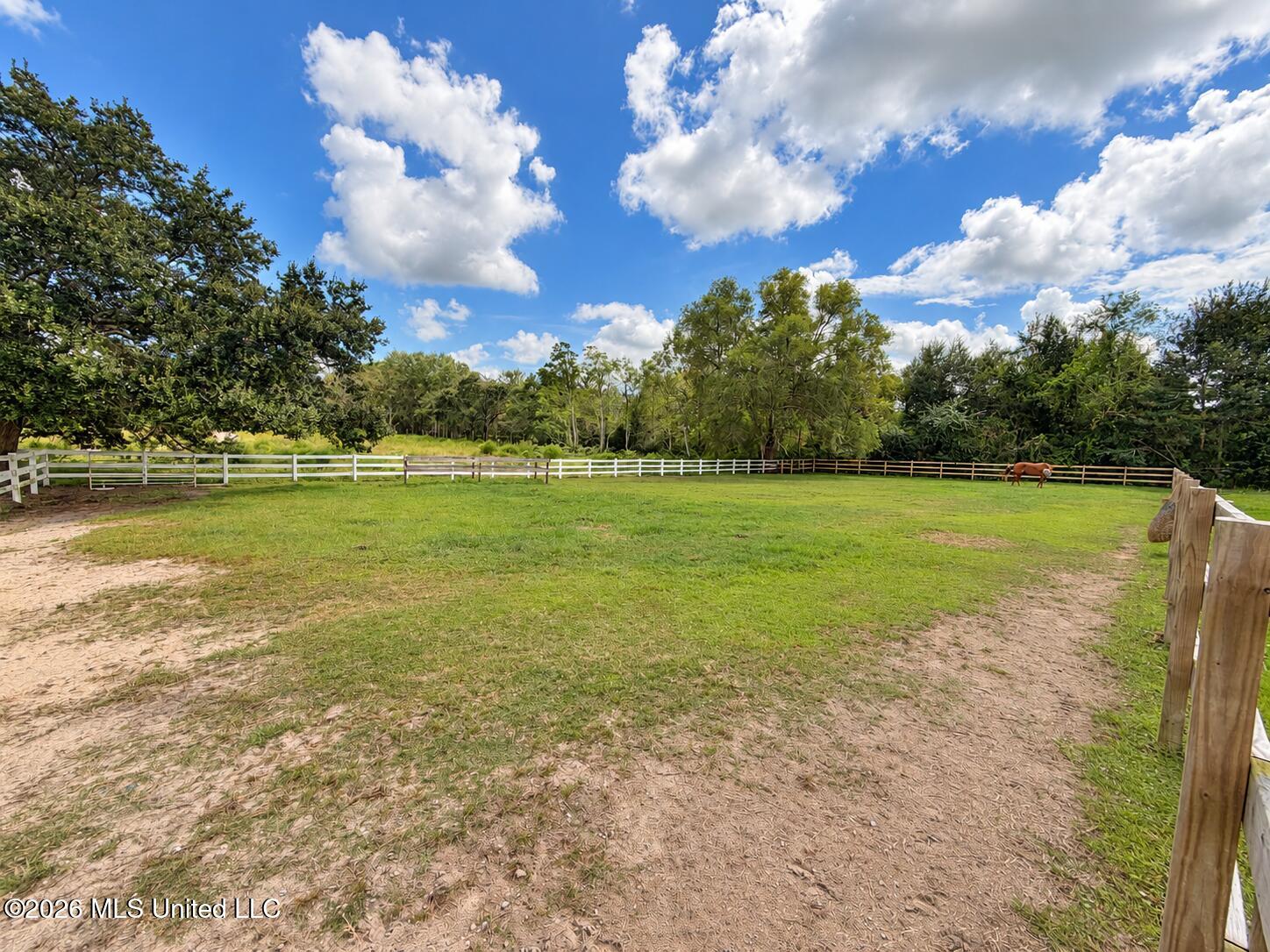 11450 County Farm Road Property Photo 80