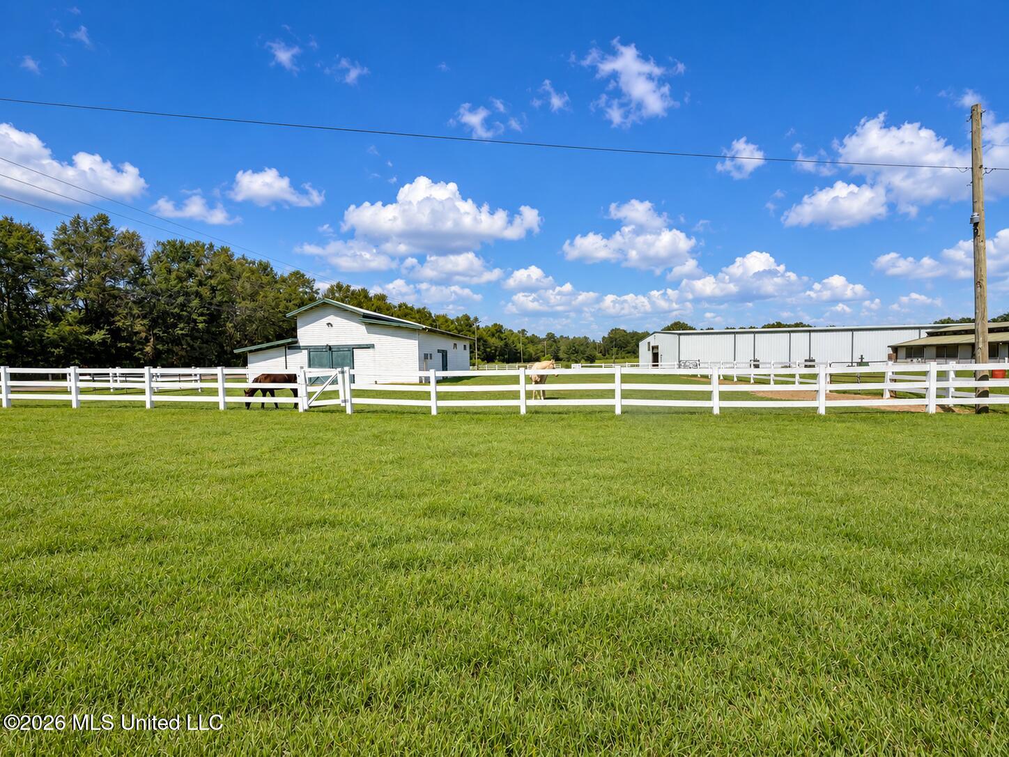 11450 County Farm Road Property Photo 81