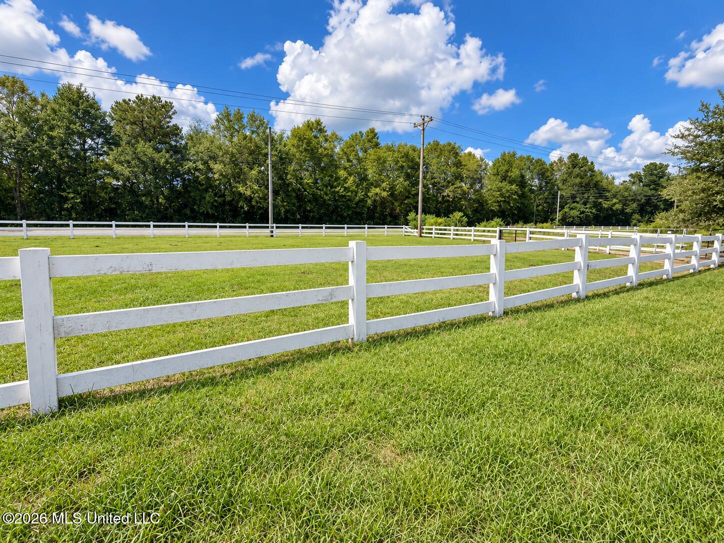 11450 County Farm Road Property Photo 82