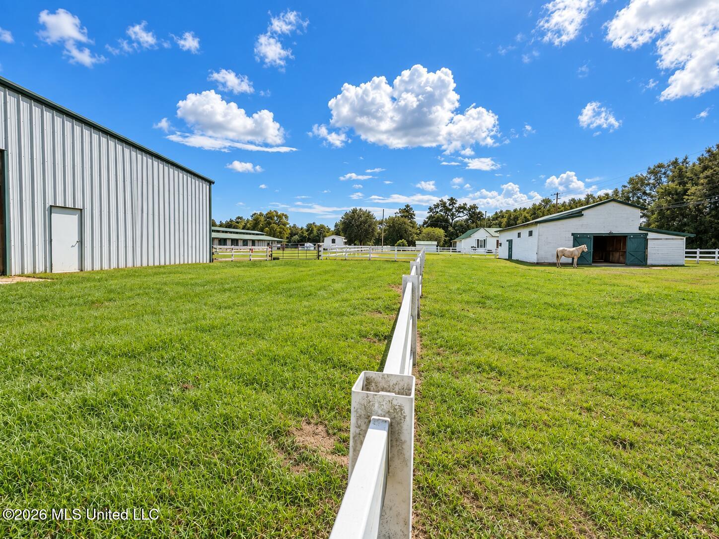 11450 County Farm Road Property Photo 86