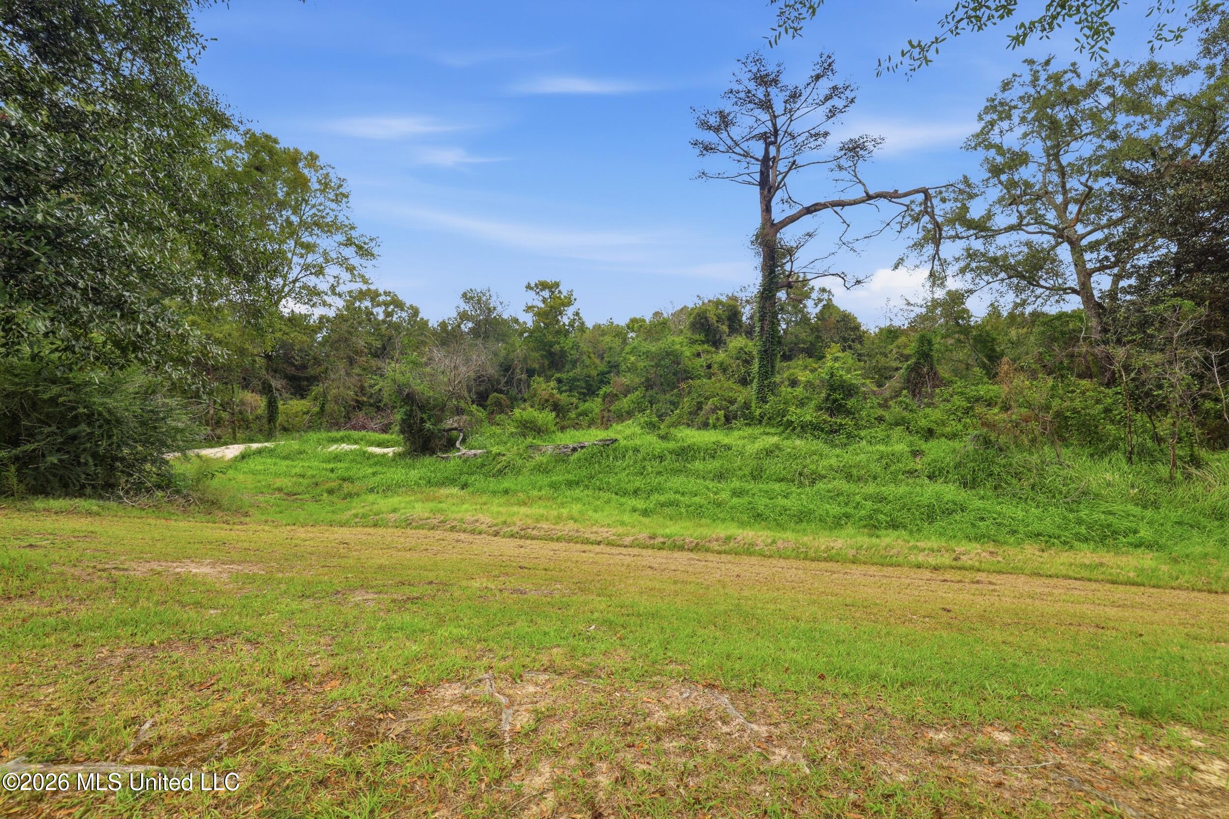 123 E Wilkerson Ferry Road Property Photo 33
