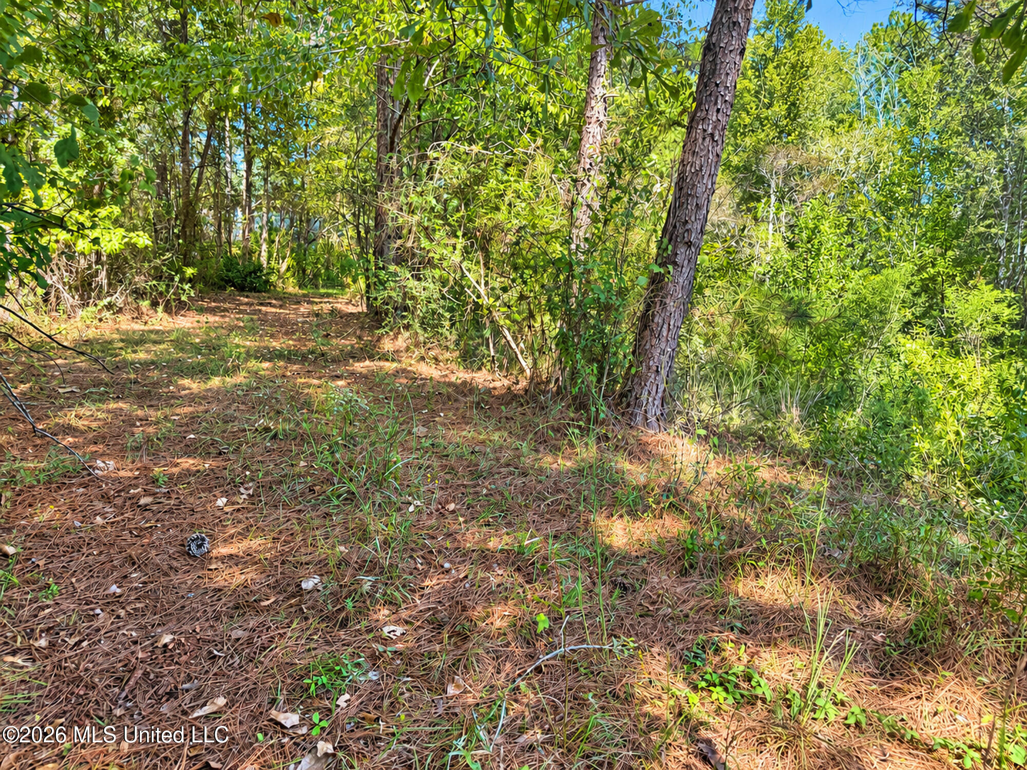 12 Bud Elliot Subdivision Property Photo 3