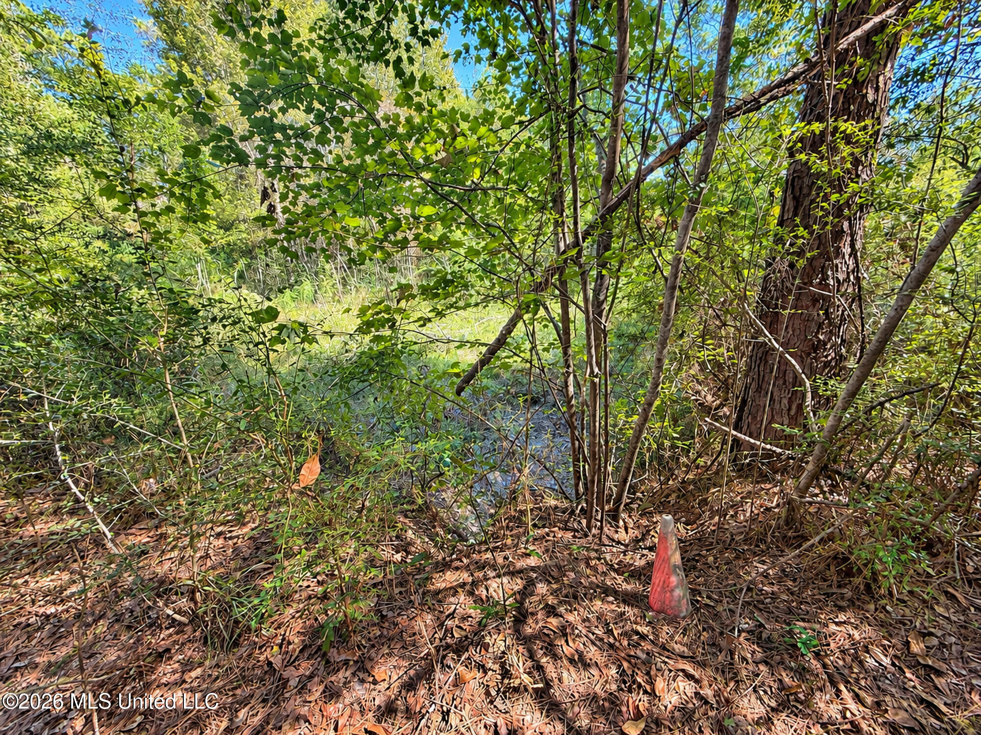 12 Bud Elliot Subdivision Property Photo 4