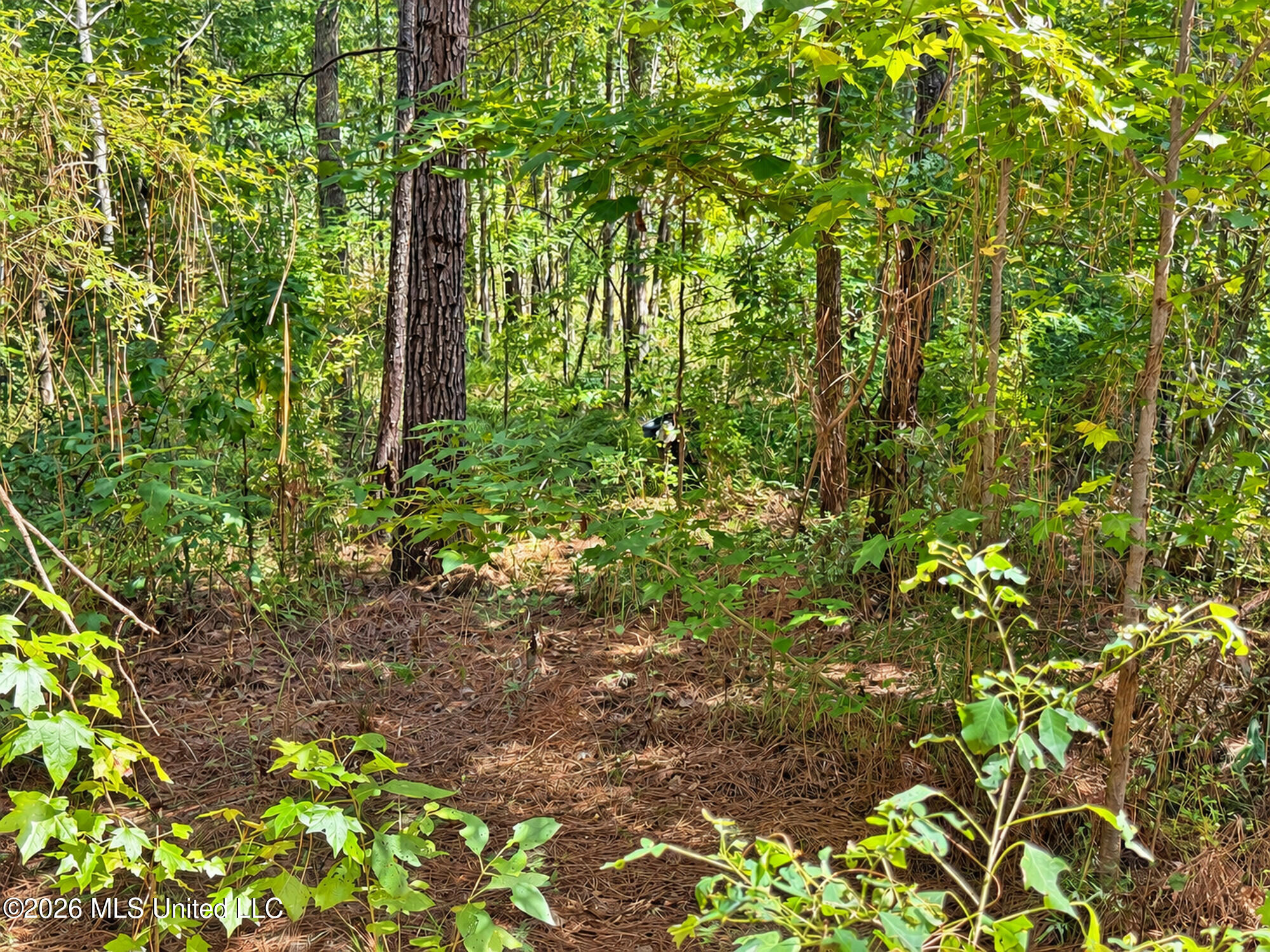 12 Bud Elliot Subdivision Property Photo 5