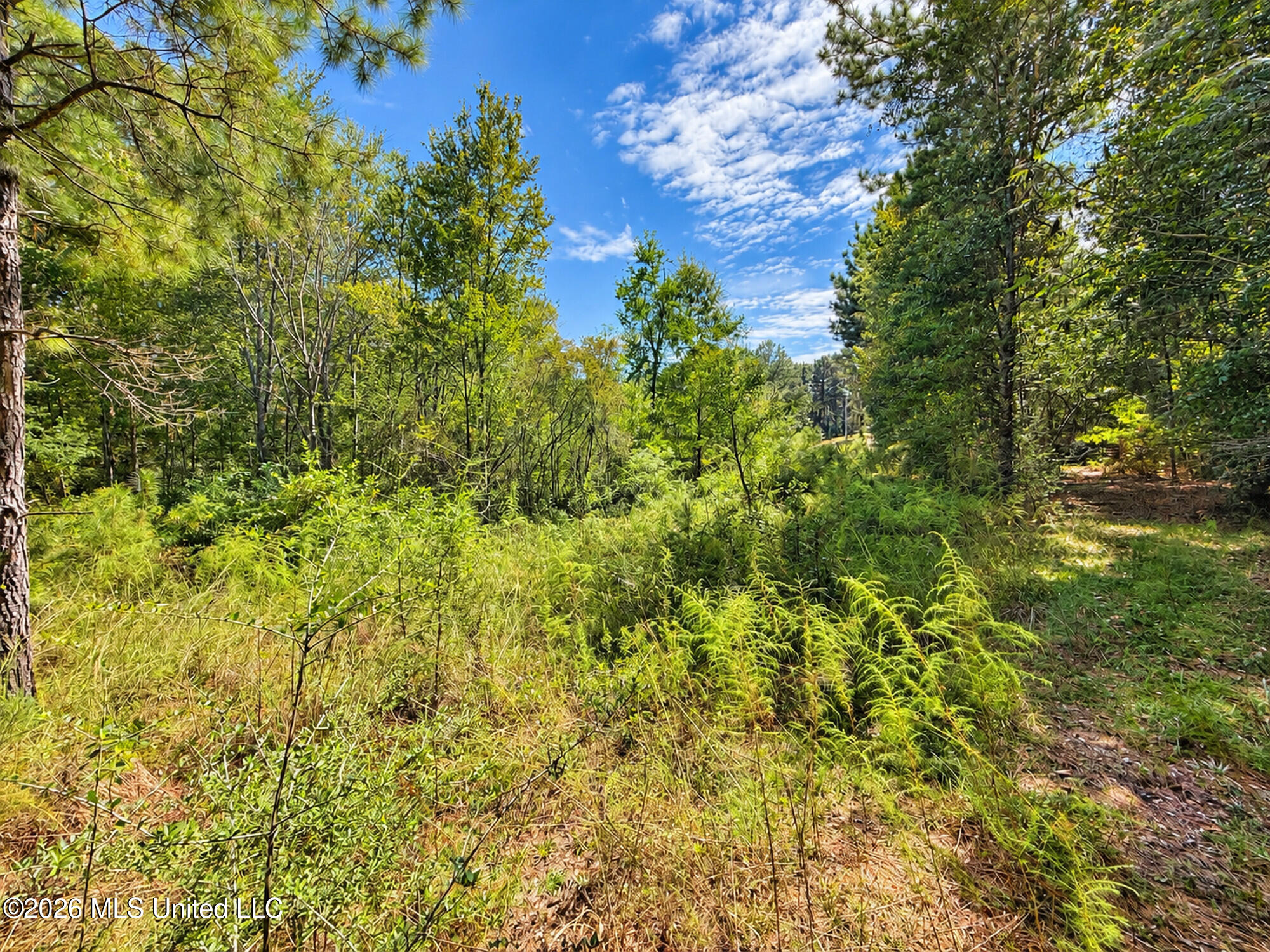12 Bud Elliot Subdivision Property Photo 6
