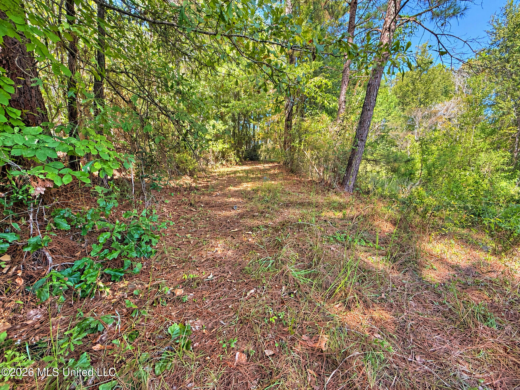 12 Bud Elliot Subdivision Property Photo 7