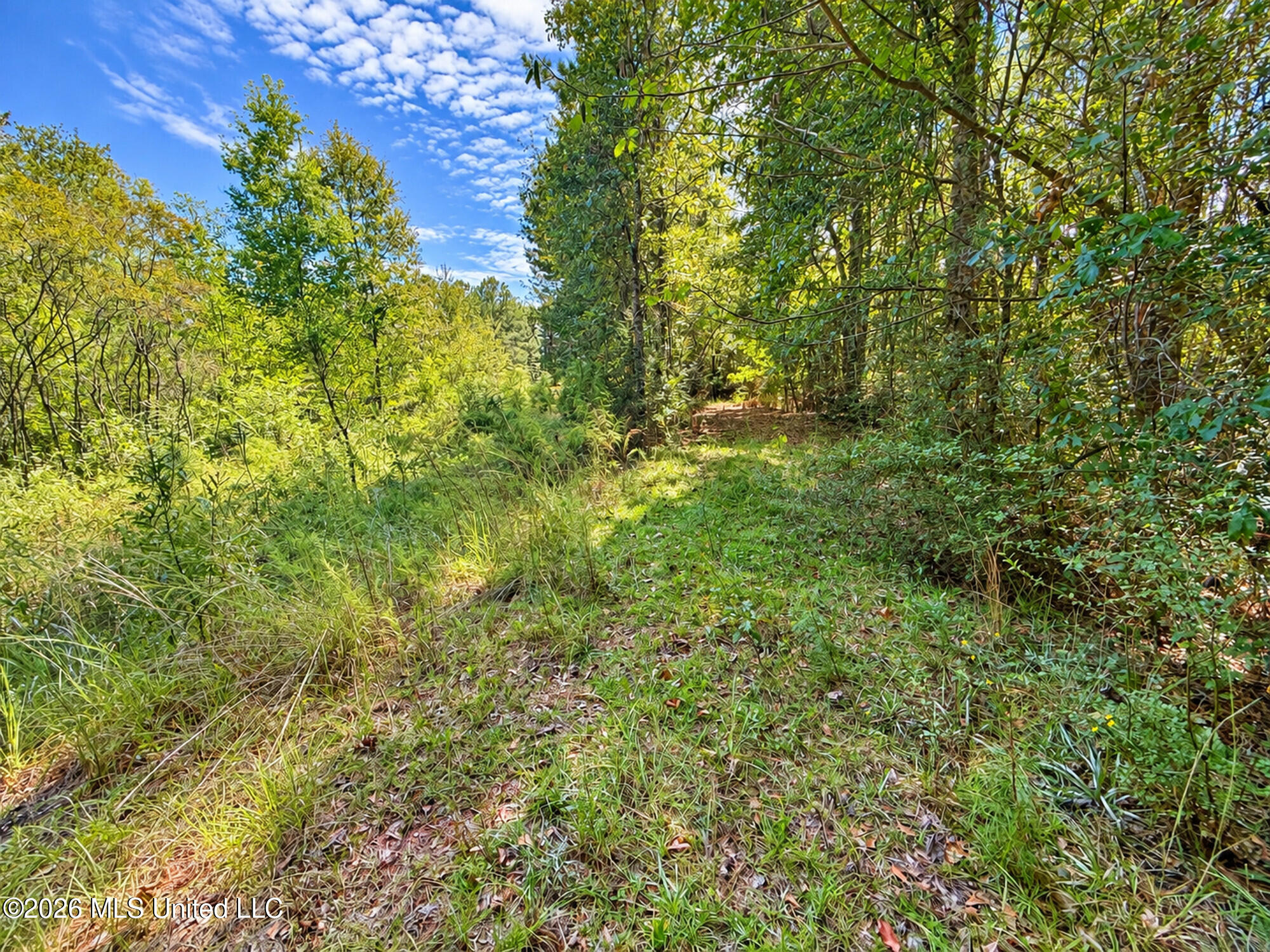 12 Bud Elliot Subdivision Property Photo 8