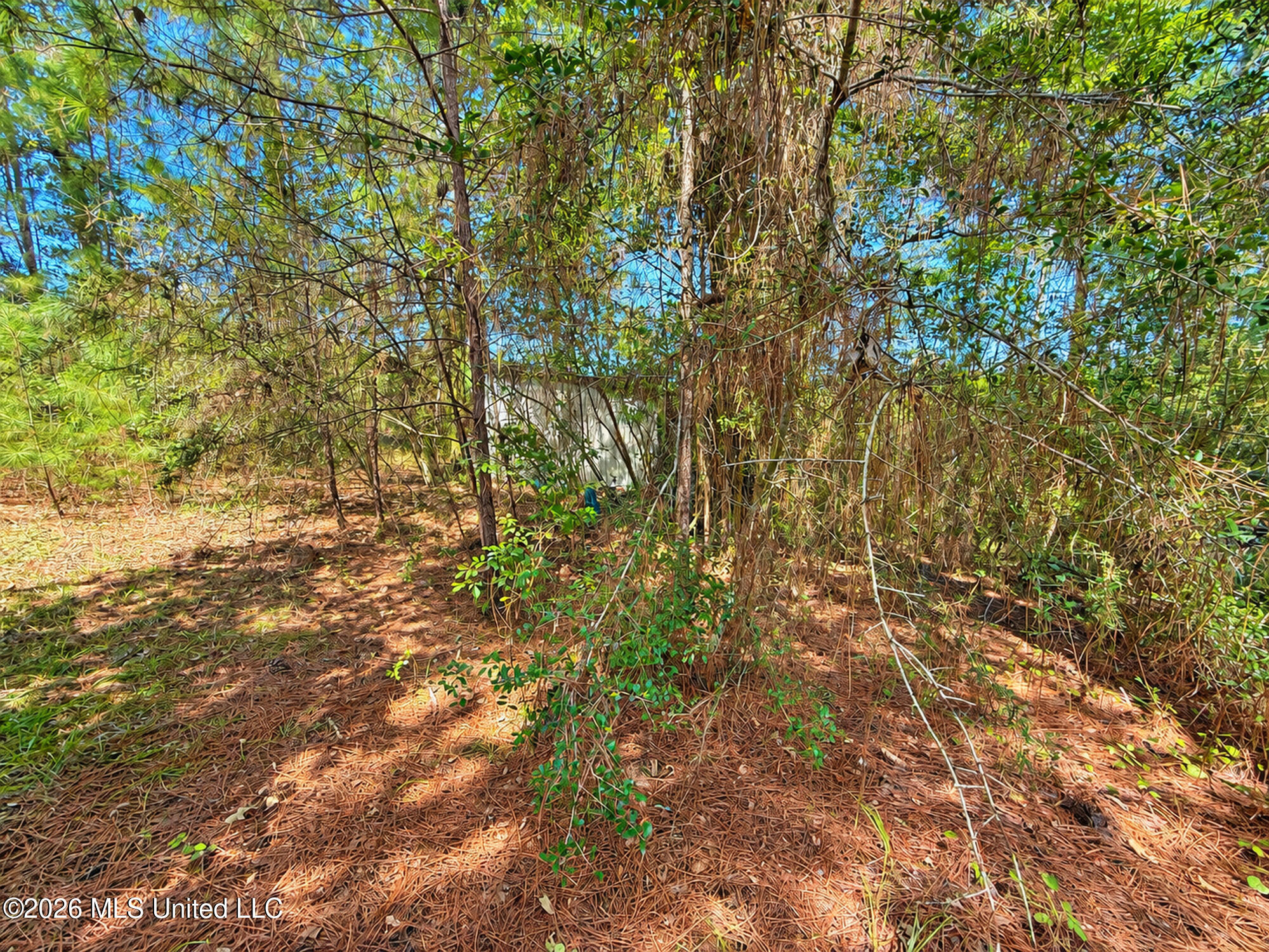 12 Bud Elliot Subdivision Property Photo 10