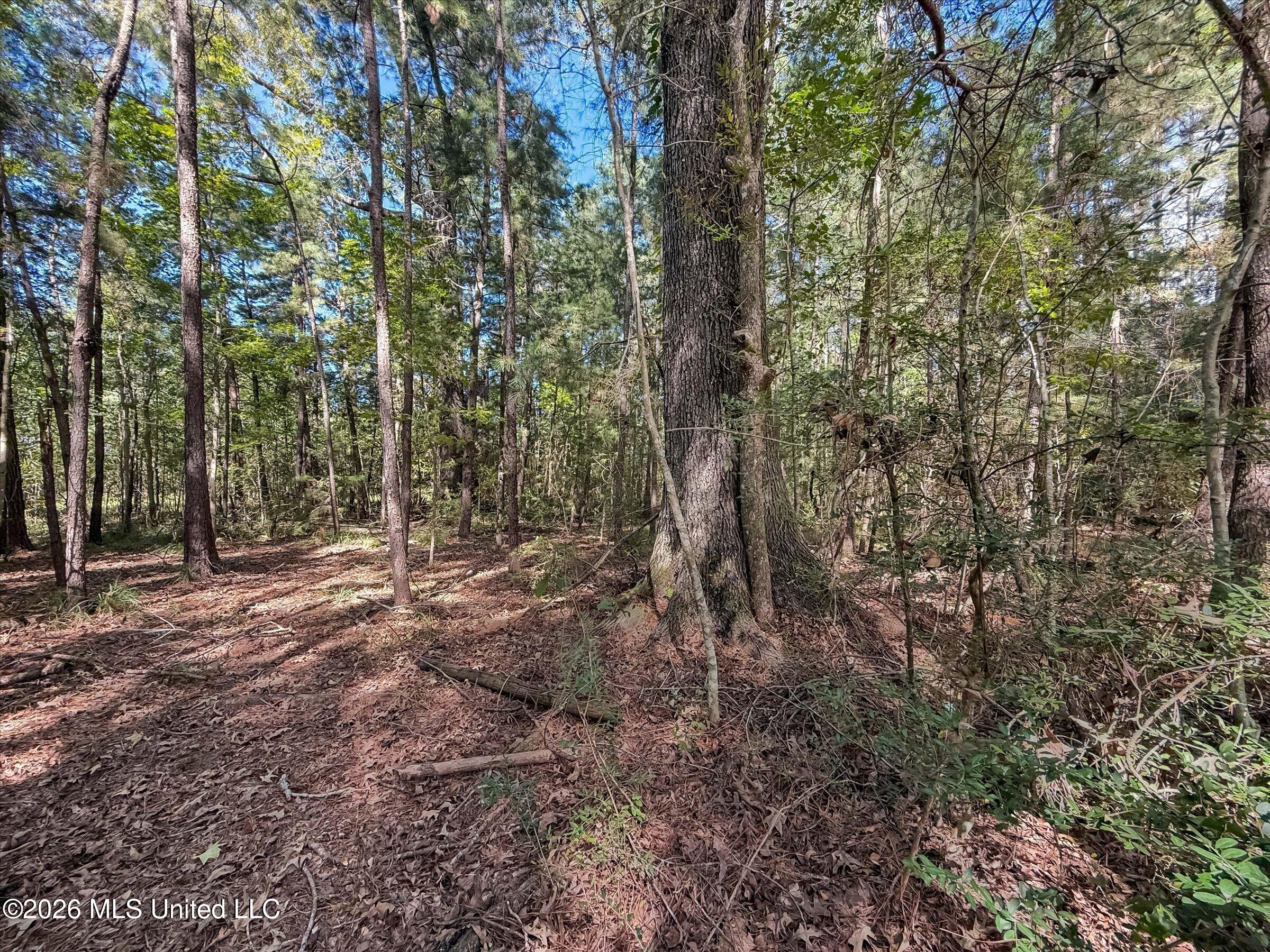 7299 Hwy 43 Property Photo 17
