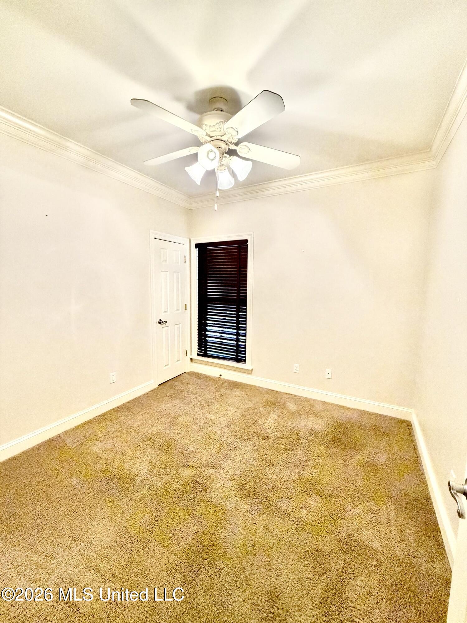 814 Canebreak Drive Property Photo 37
