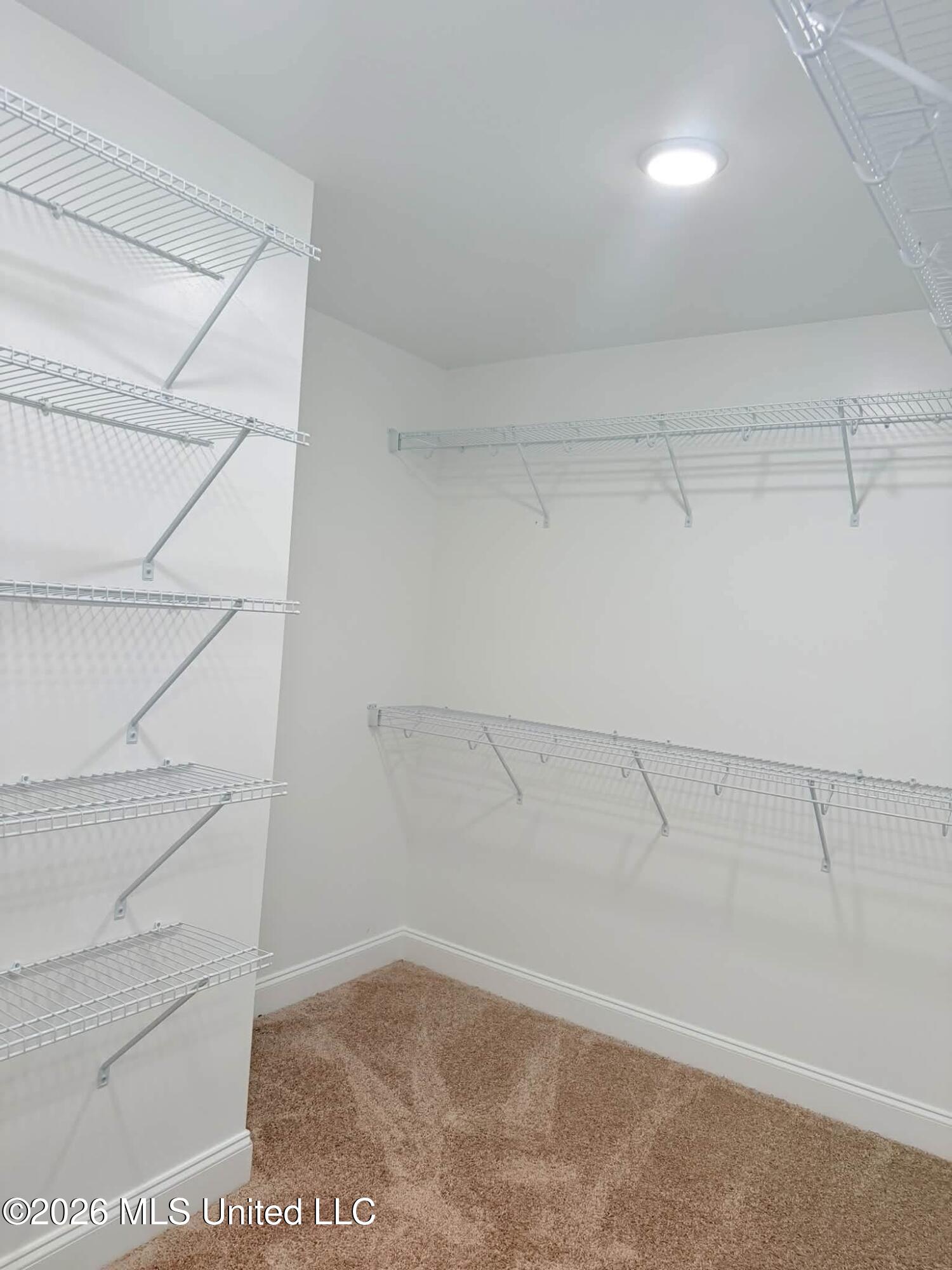 6068 Hickory Point Drive Property Photo 10