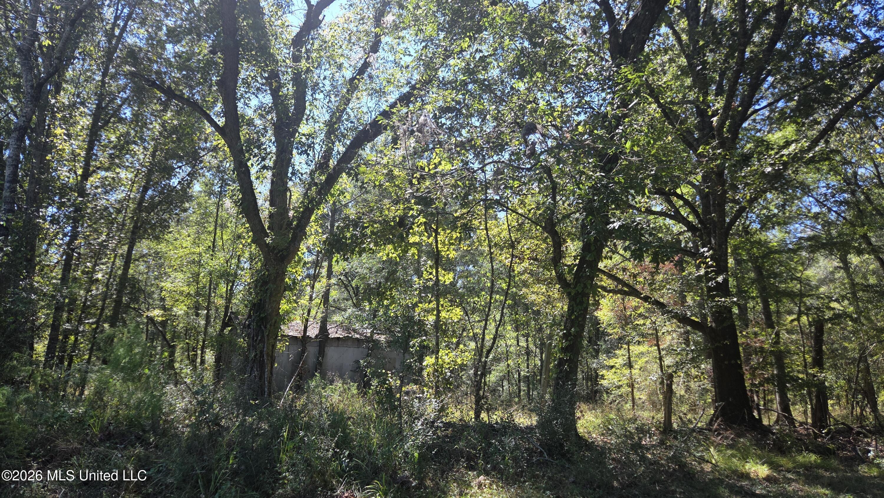 0 Bill Strong Road Property Photo 2