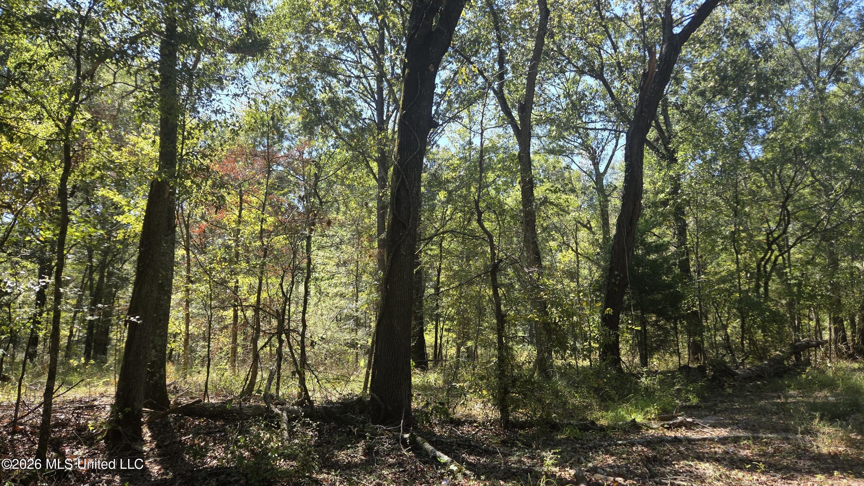 0 Bill Strong Road Property Photo 3