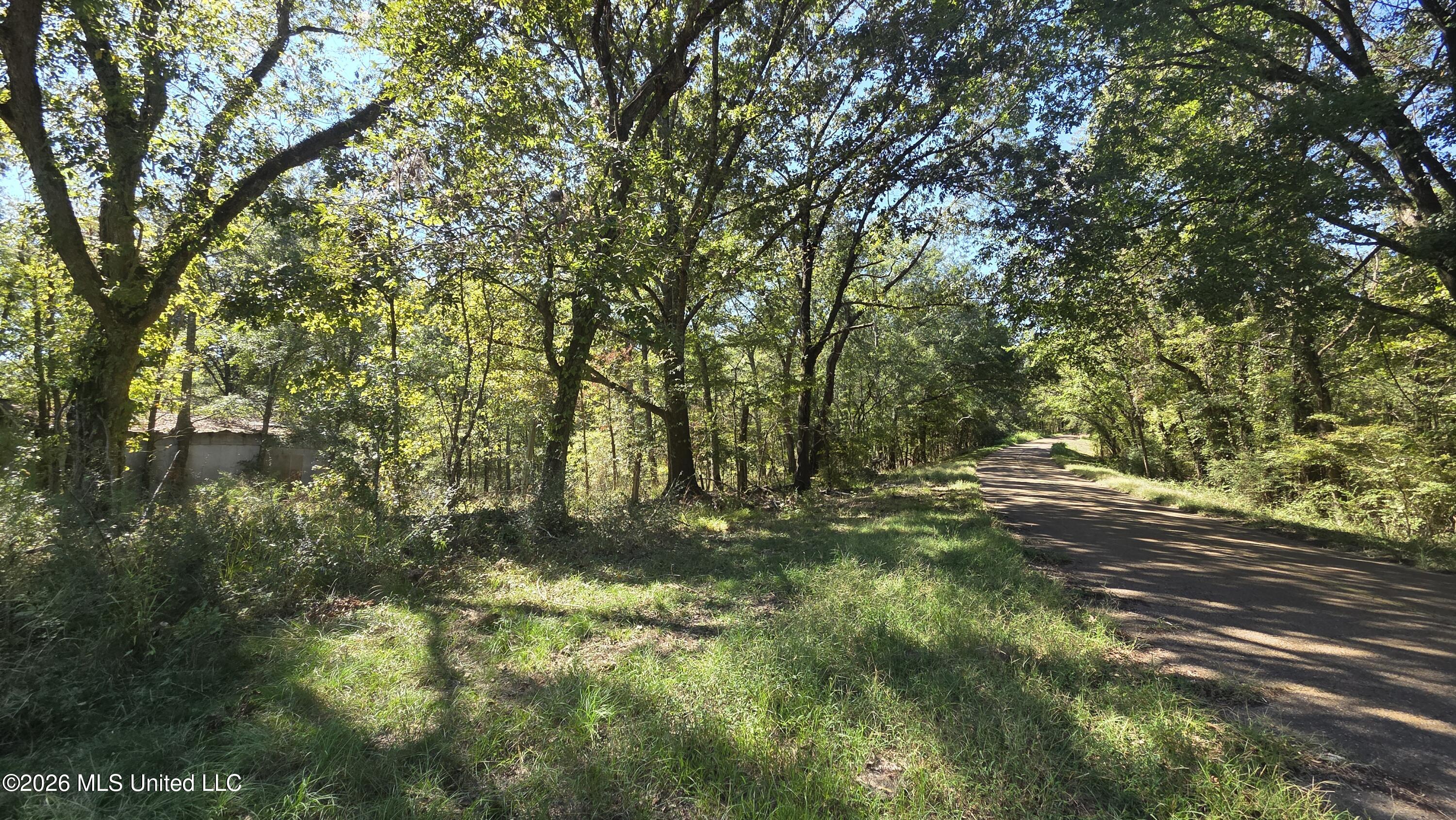 0 Bill Strong Road Property Photo 5