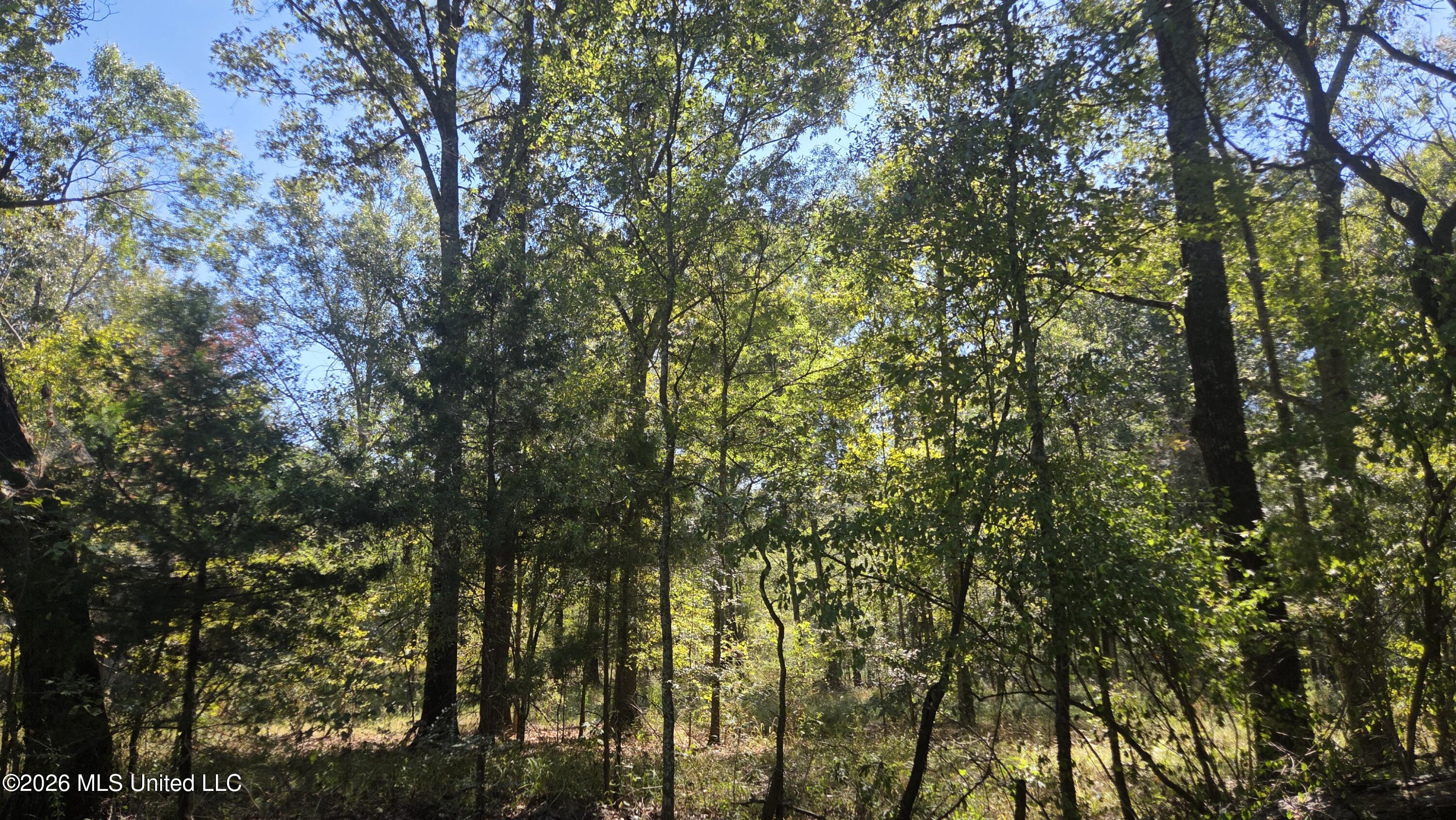 0 Bill Strong Road Property Photo 6