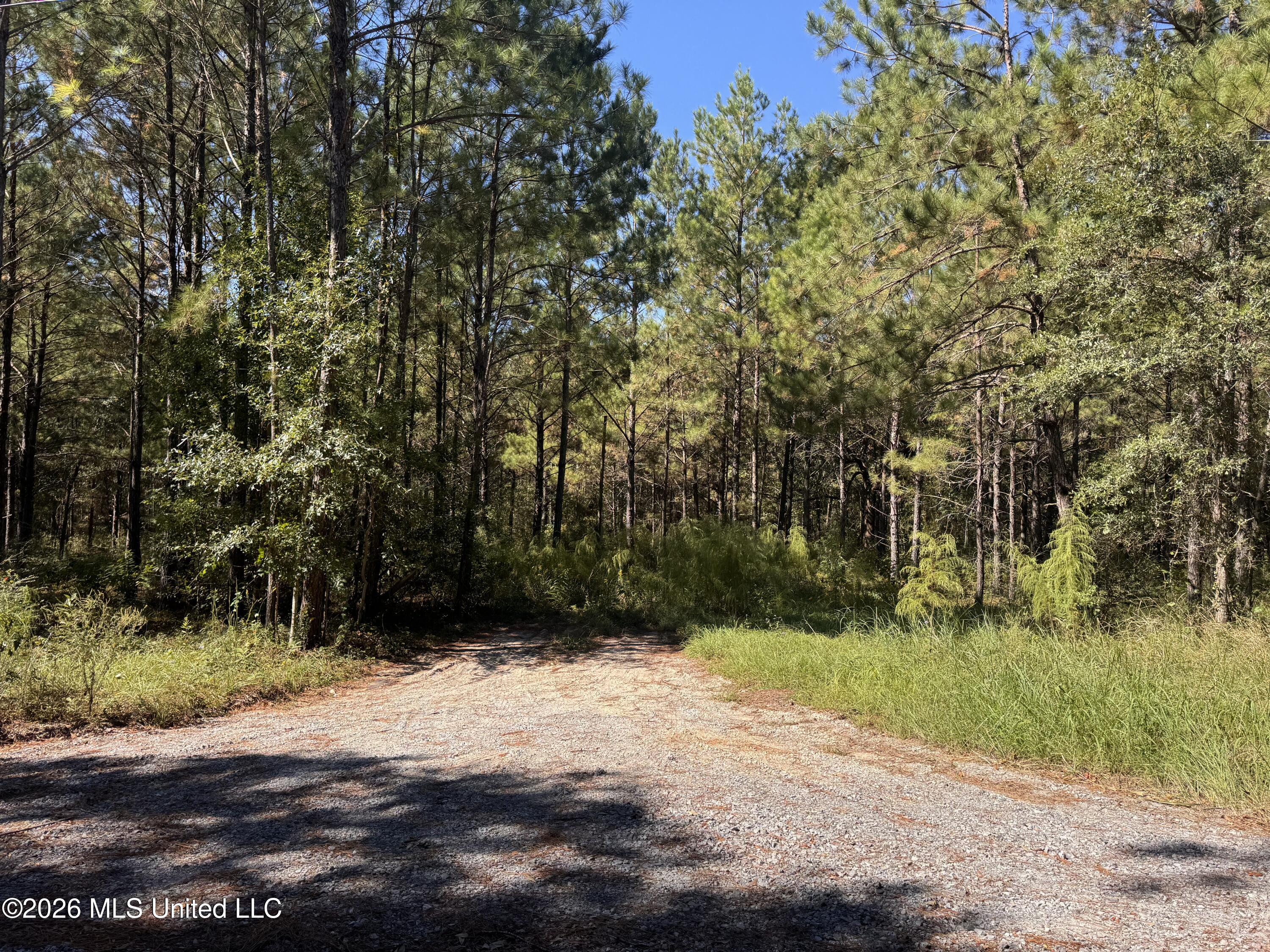 21525 Gartman Jones Road Property Photo 1