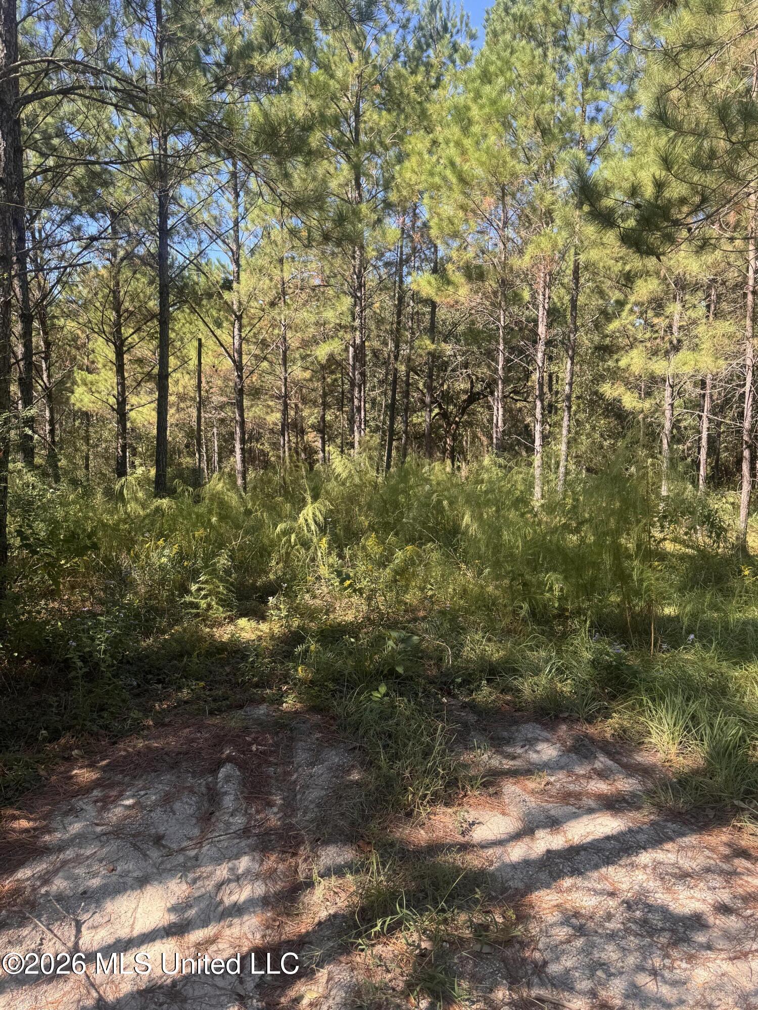 21525 Gartman Jones Road Property Photo 2