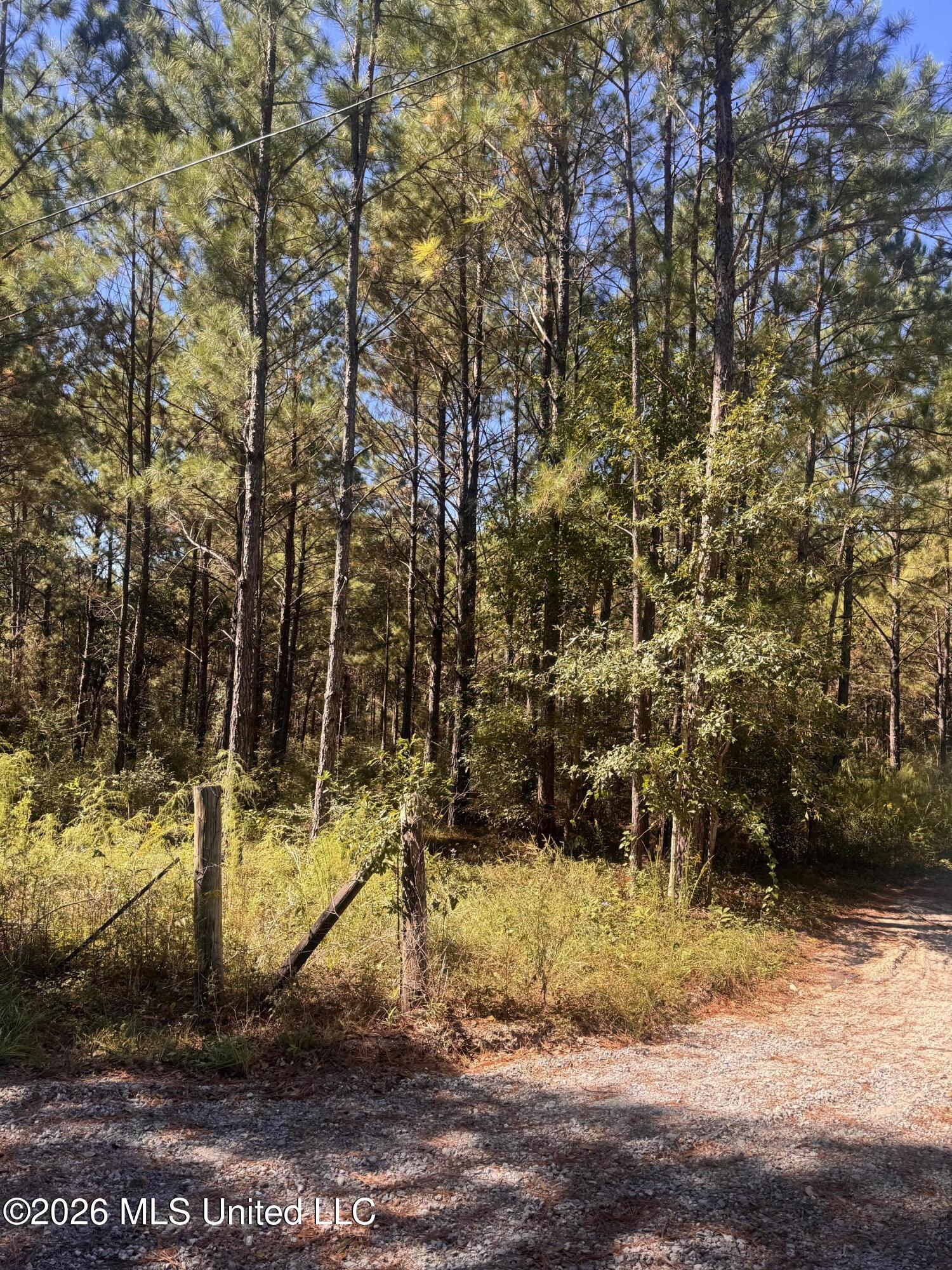 21525 Gartman Jones Road Property Photo 4