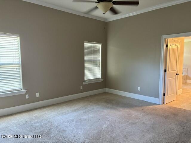 509 Palm Breeze Drive Property Photo 15