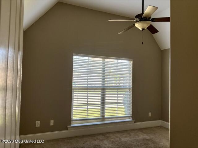 509 Palm Breeze Drive Property Photo 23