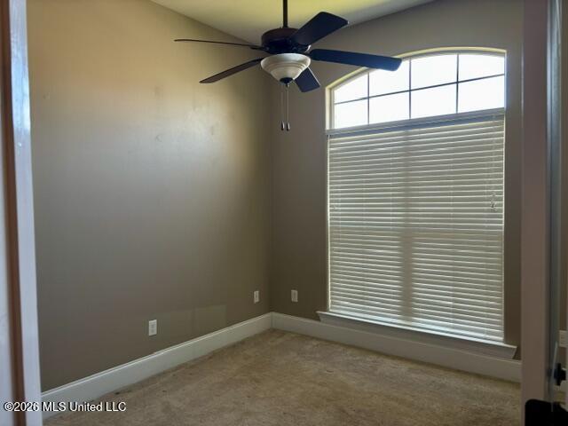509 Palm Breeze Drive Property Photo 24