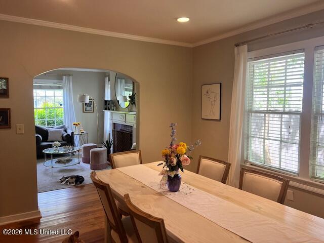 4066 Robin Drive Property Photo 8