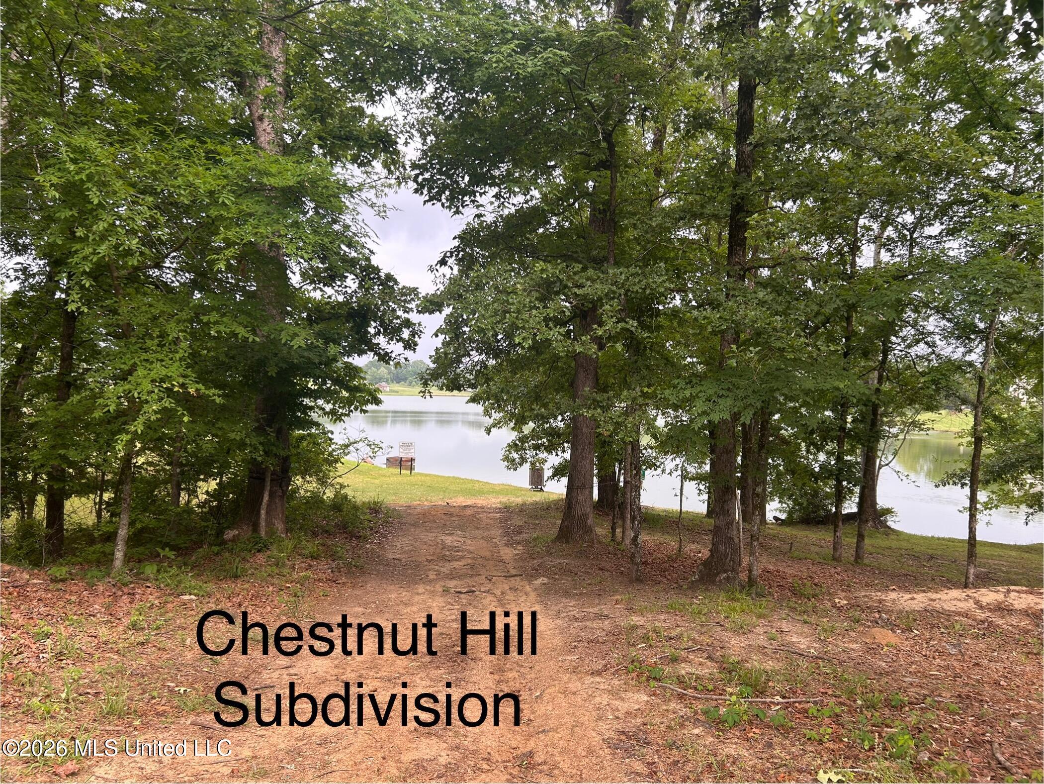 Chestnut Hill Pt Property Photo 1