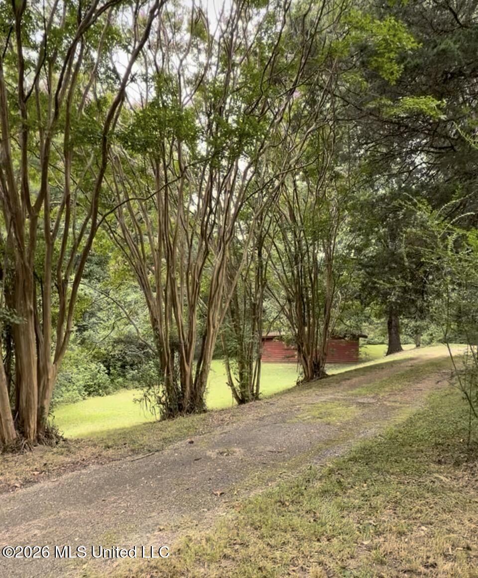 12063 Ms-178 Property Photo 1