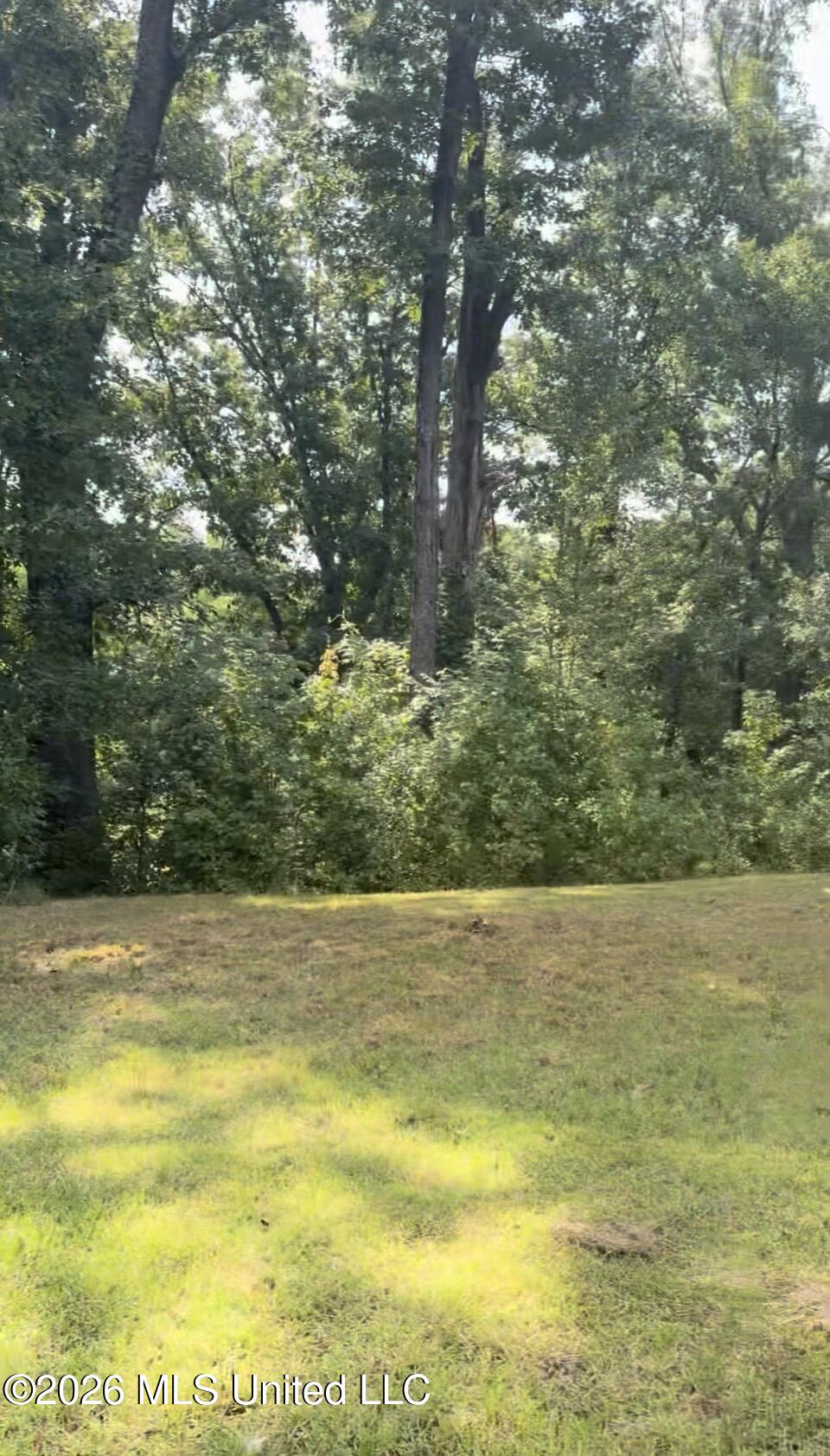 12063 Ms-178 Property Photo 5
