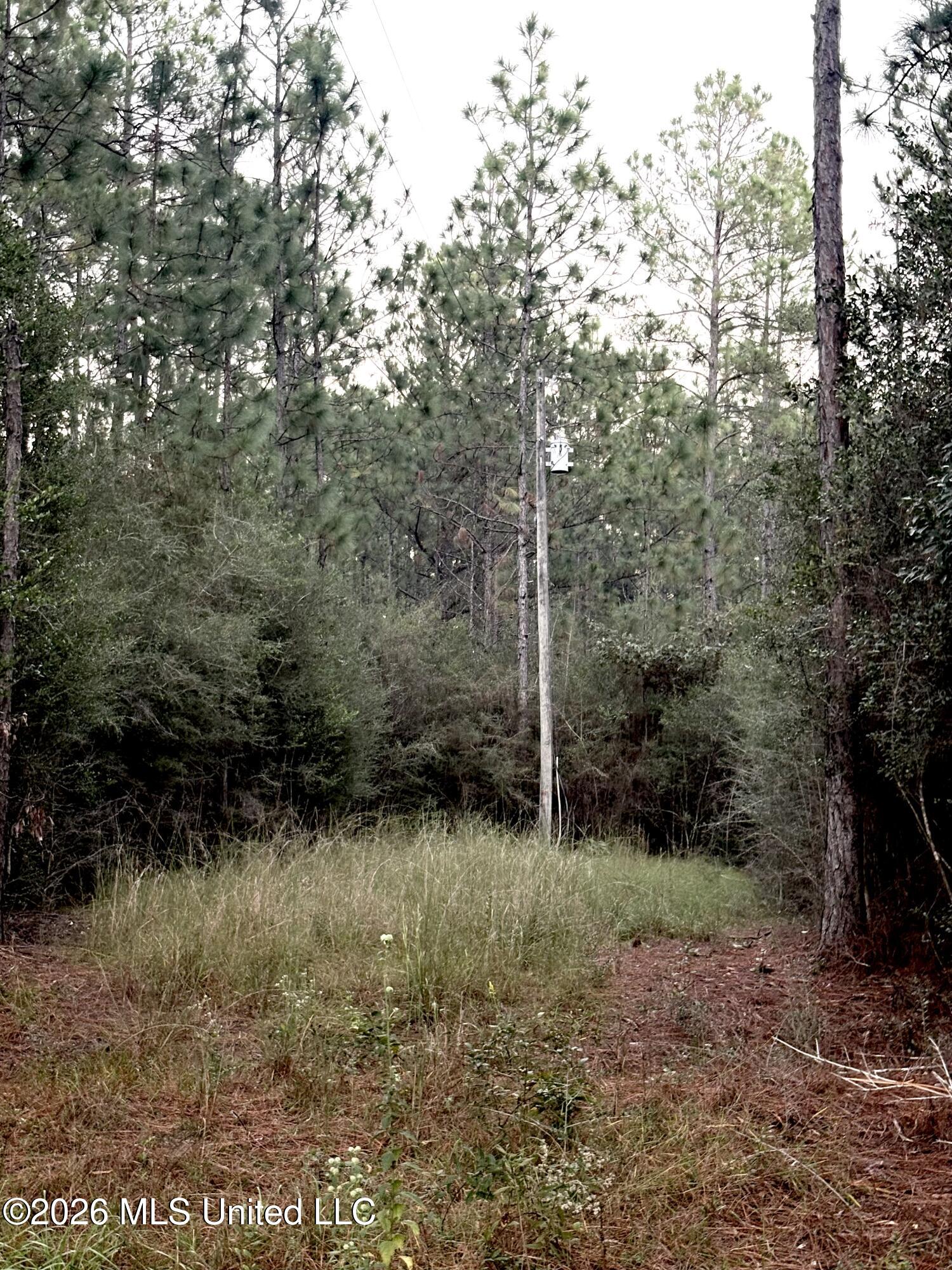 16512 Scotch Pine Drive Property Photo 1