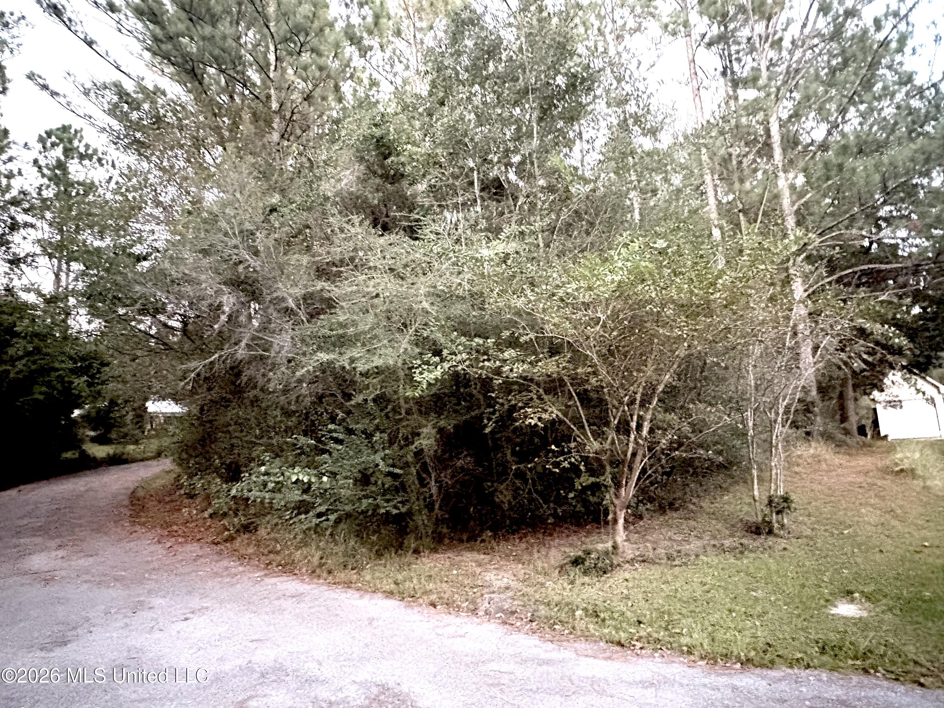 16512 Scotch Pine Drive Property Photo 2