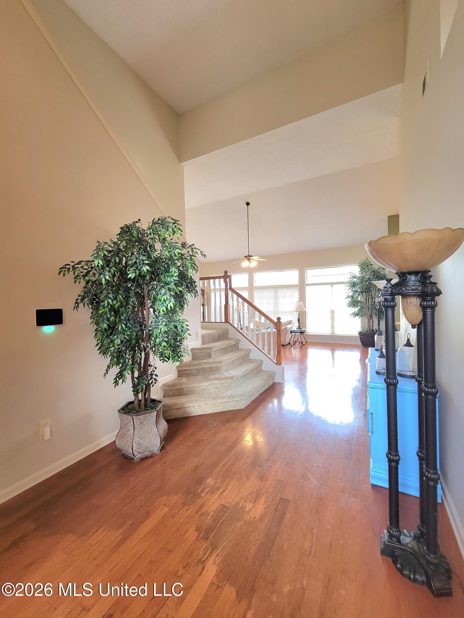 4350 Abele Cove Property Photo 25