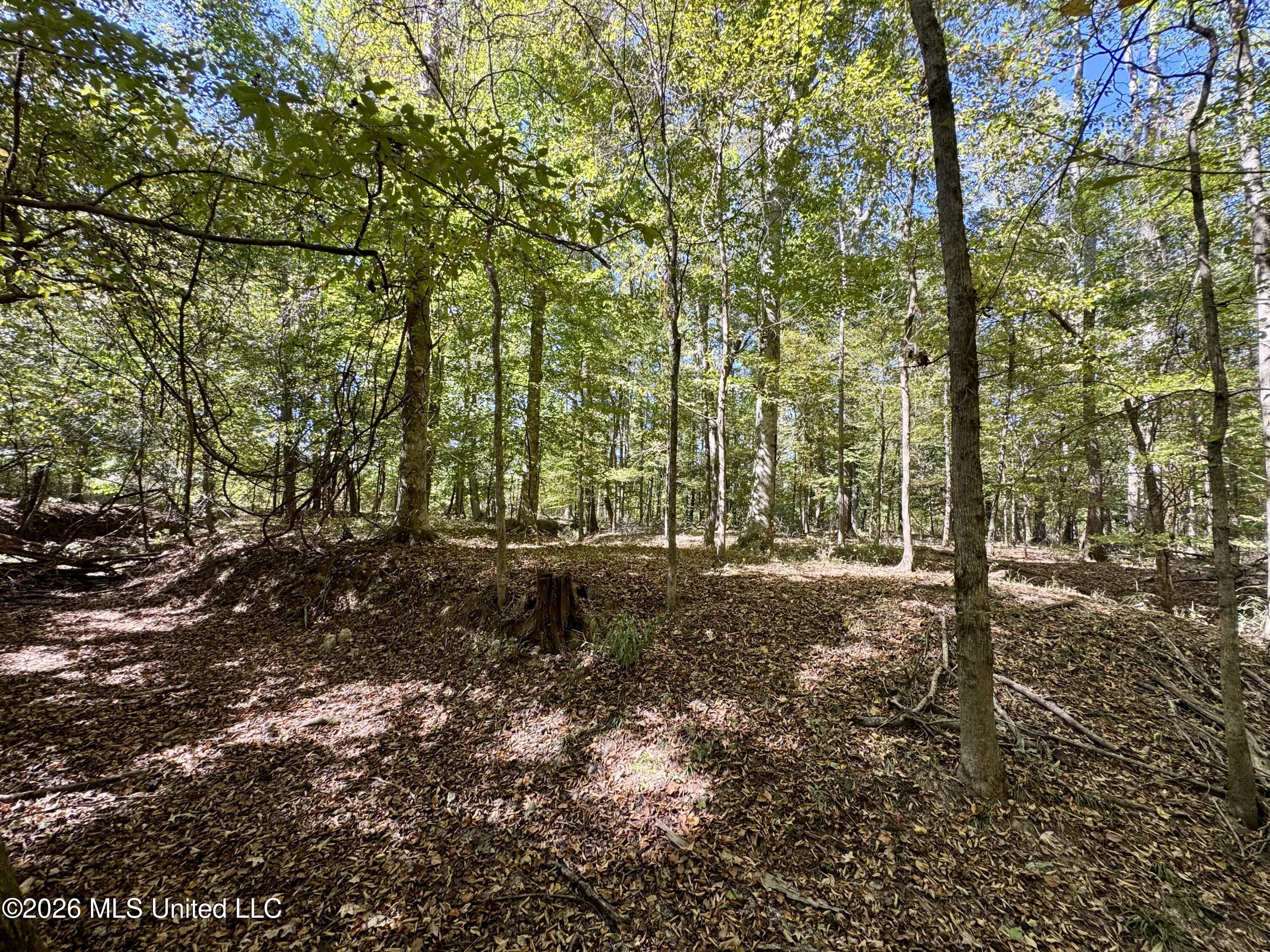 Midway Road Property Photo 21