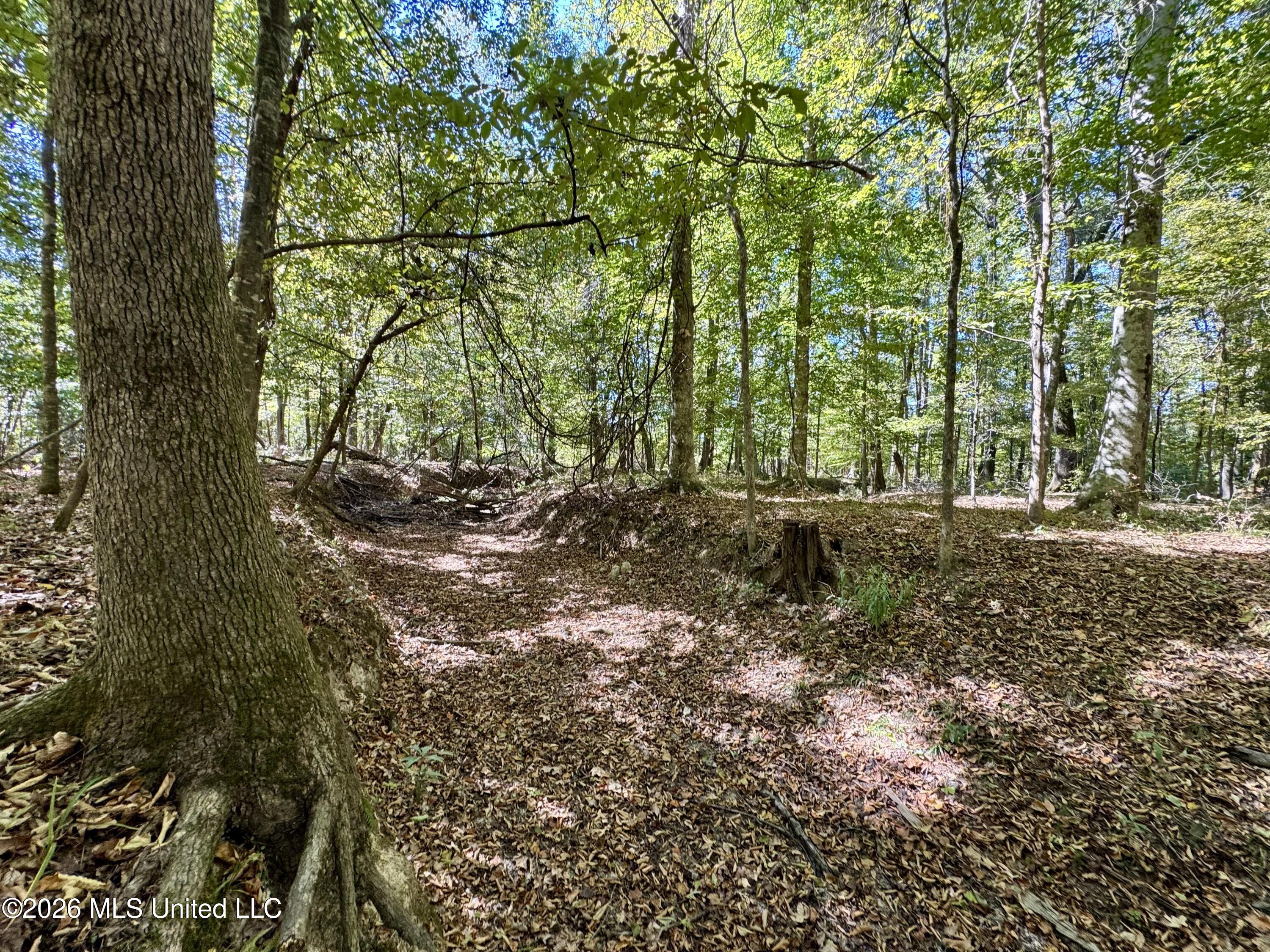 Midway Road Property Photo 22