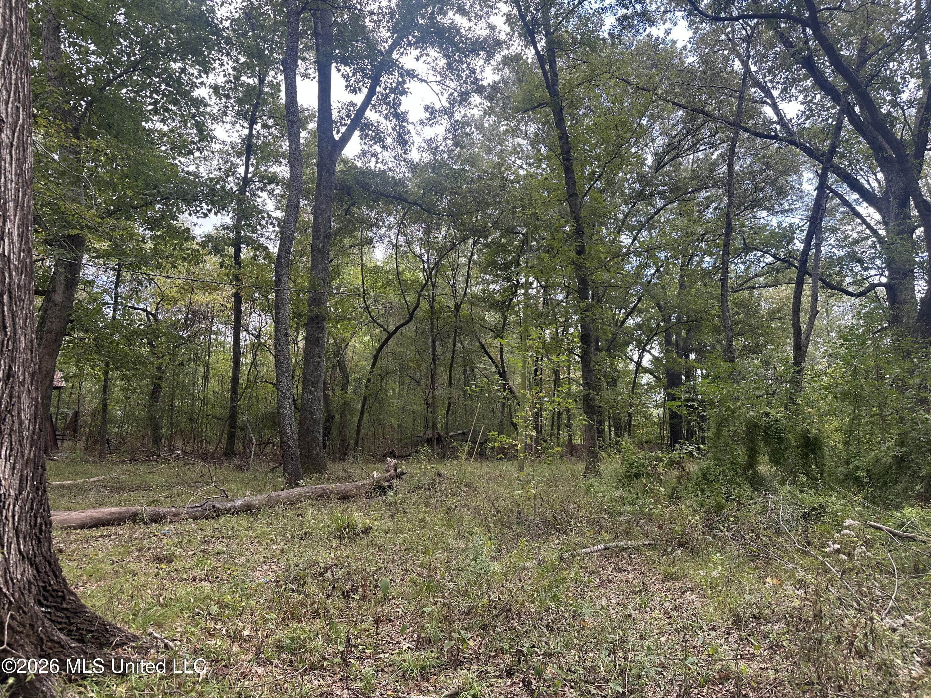 1070 E Broadwater Road Property Photo 39