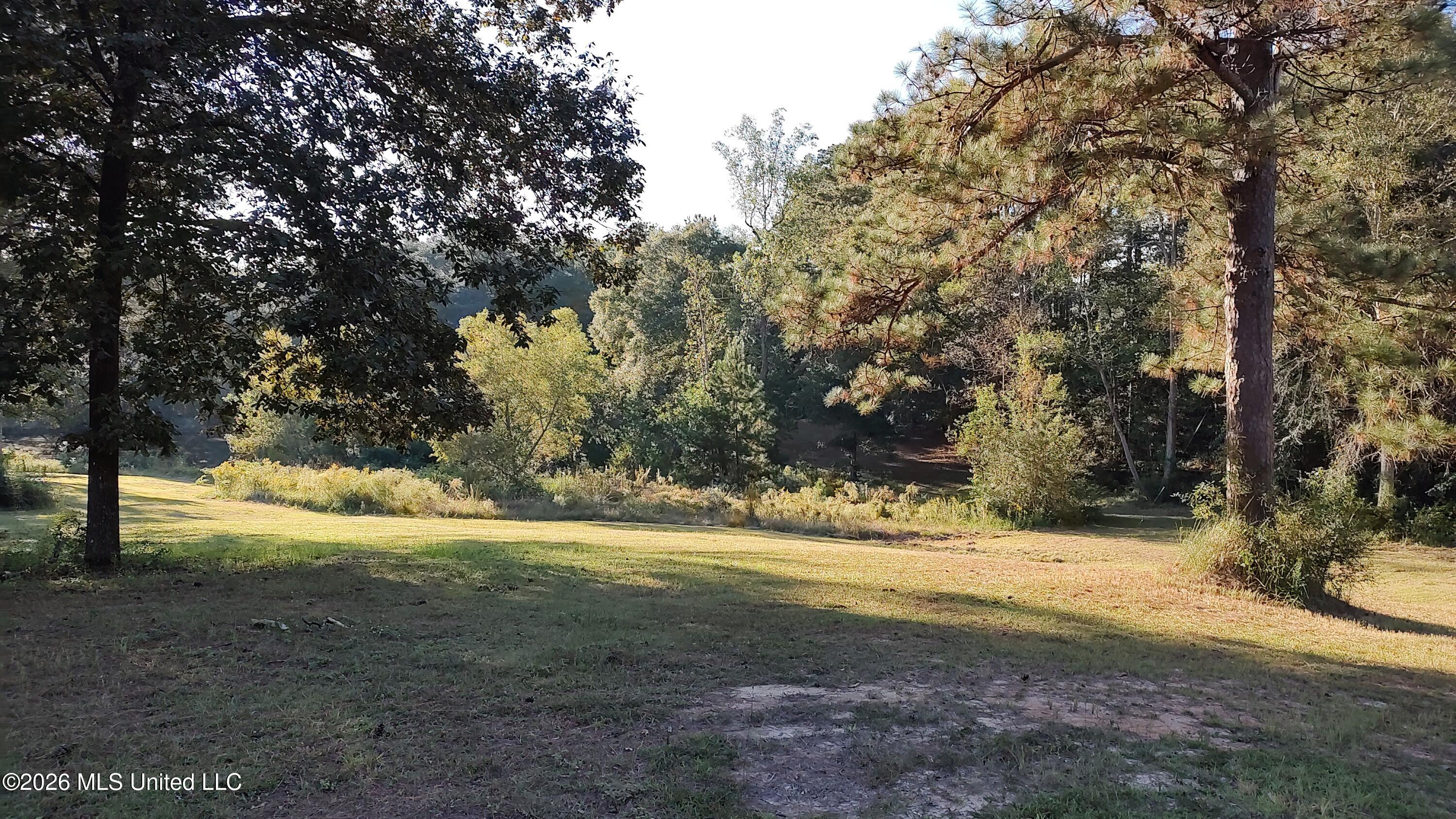 Birch Boulevard Property Photo 4