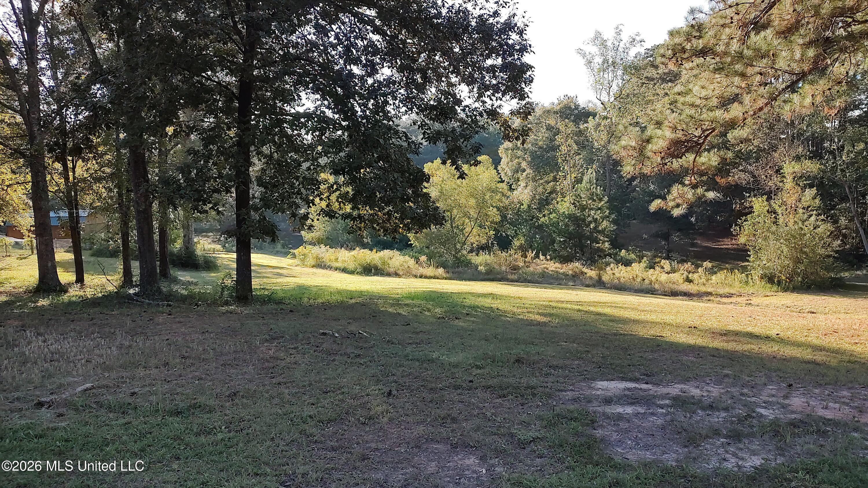 Birch Boulevard Property Photo 6