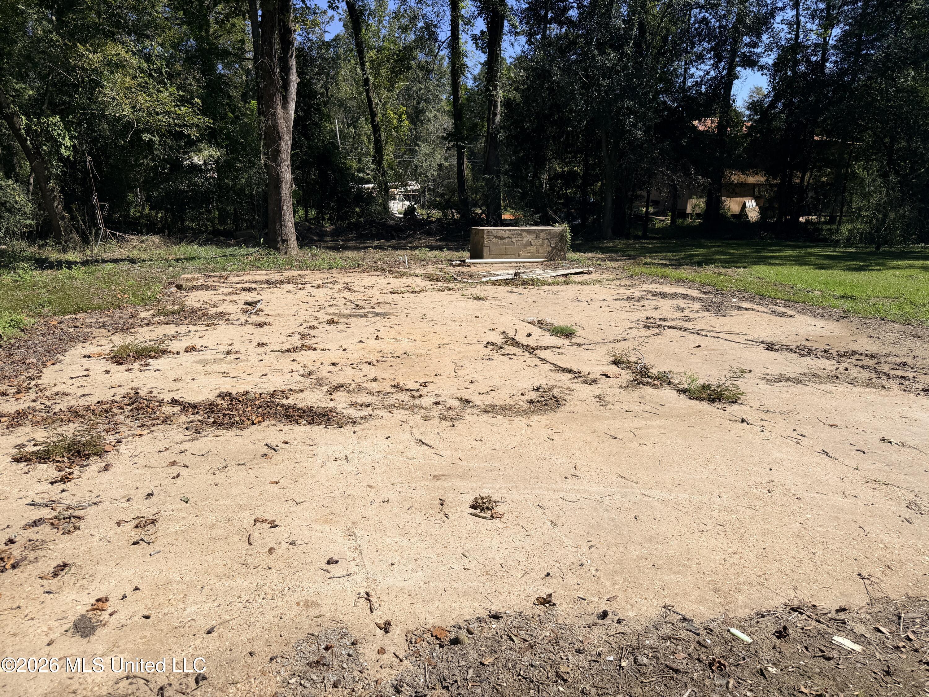 117 Plum Bluff Drive Property Photo 2
