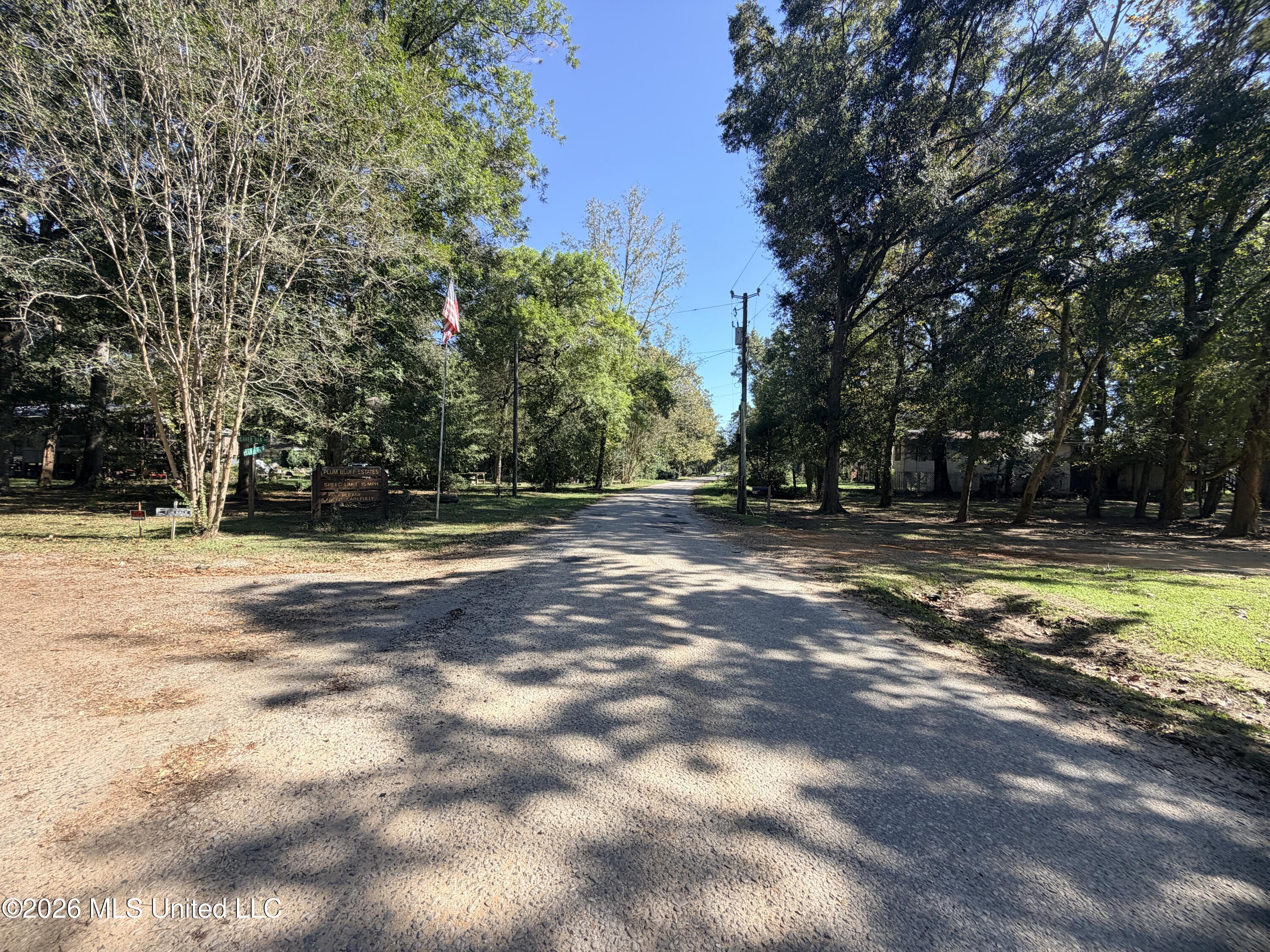117 Plum Bluff Drive Property Photo 6