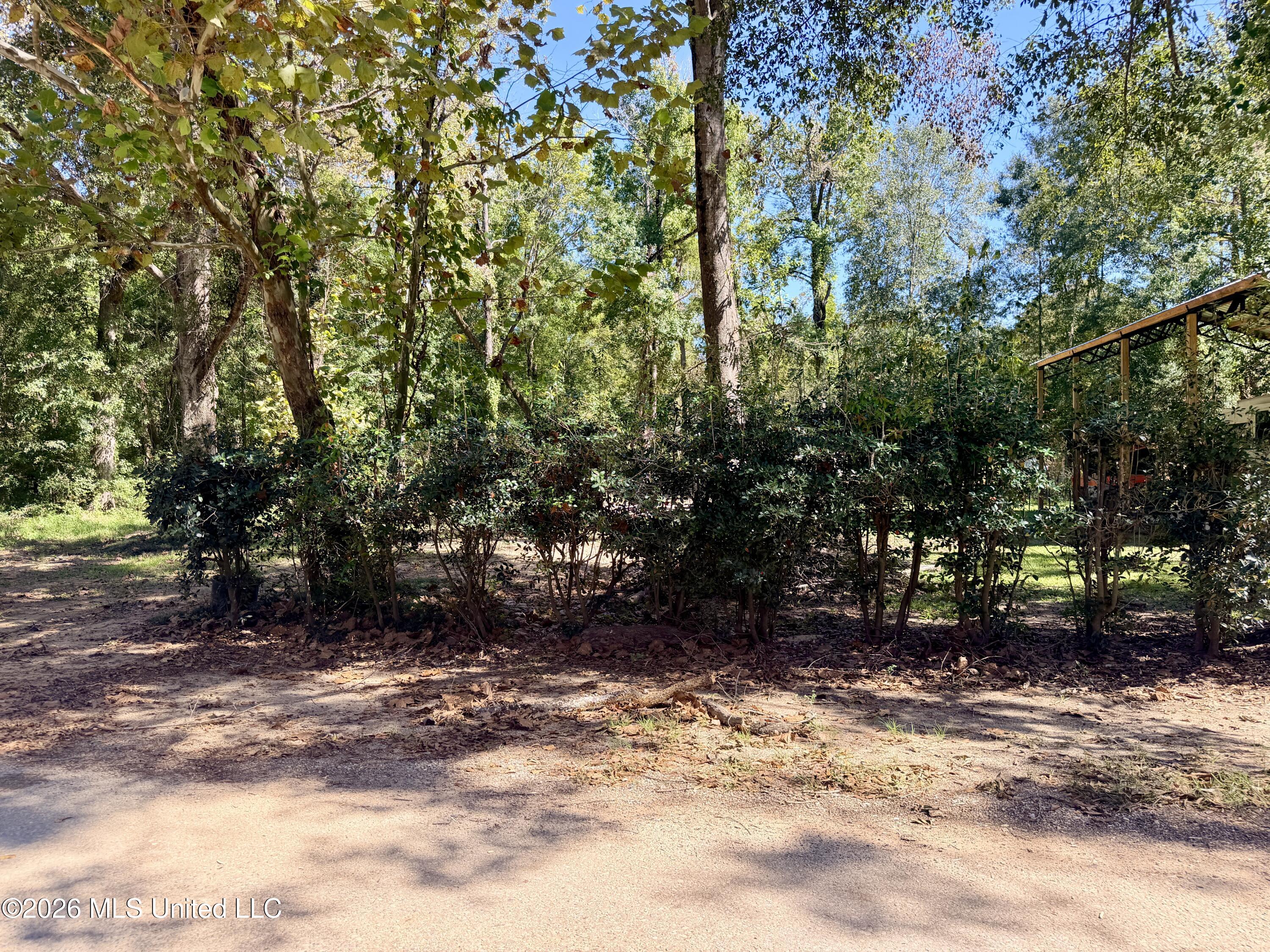 117 Plum Bluff Drive Property Photo 8