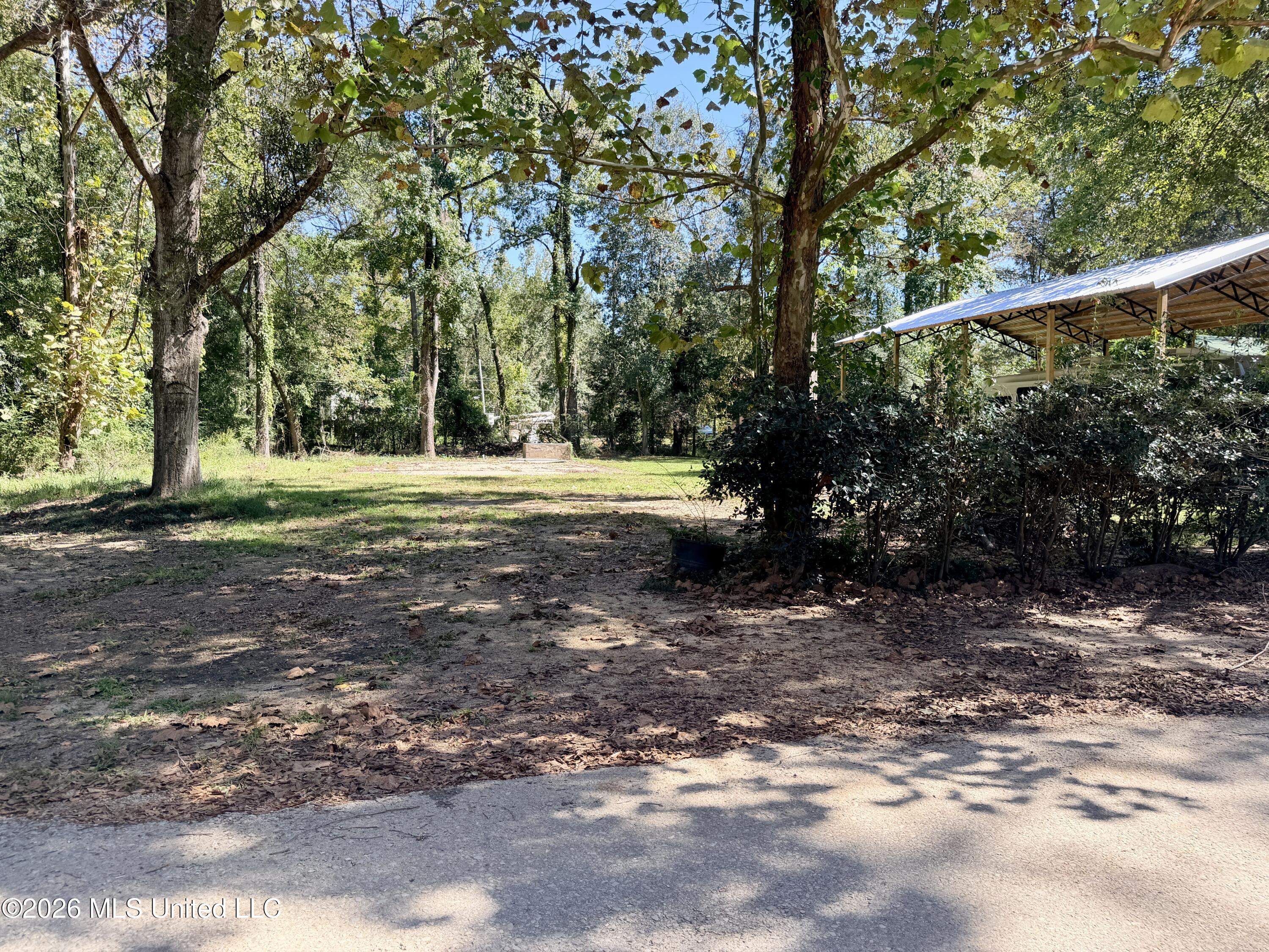 117 Plum Bluff Drive Property Photo 9