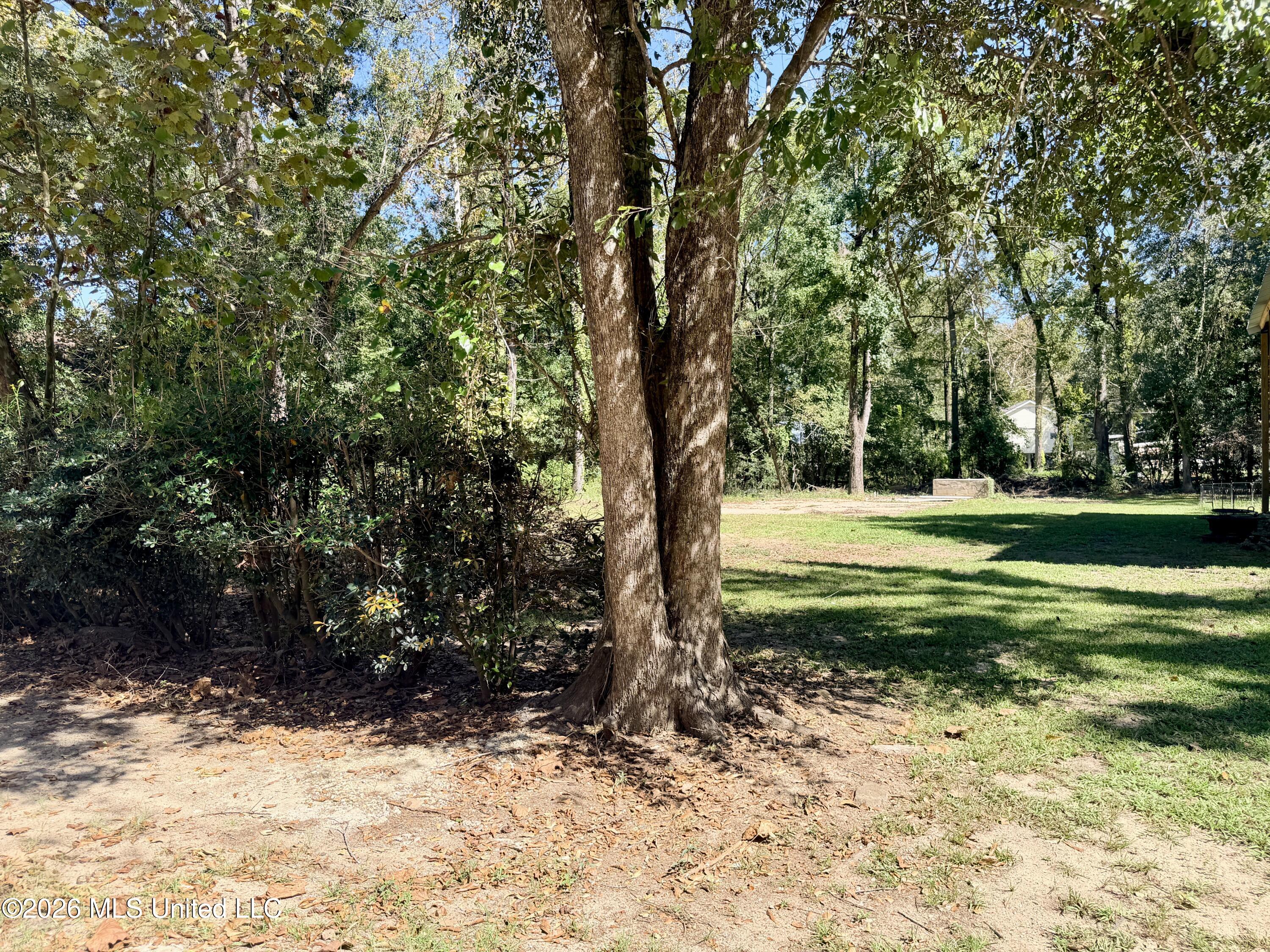 117 Plum Bluff Drive Property Photo 10